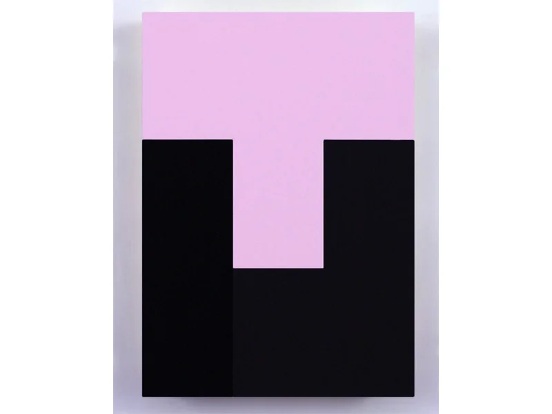 Incompleteness Theorem 7 18" x 13" Acrylic on Aluminum 2010