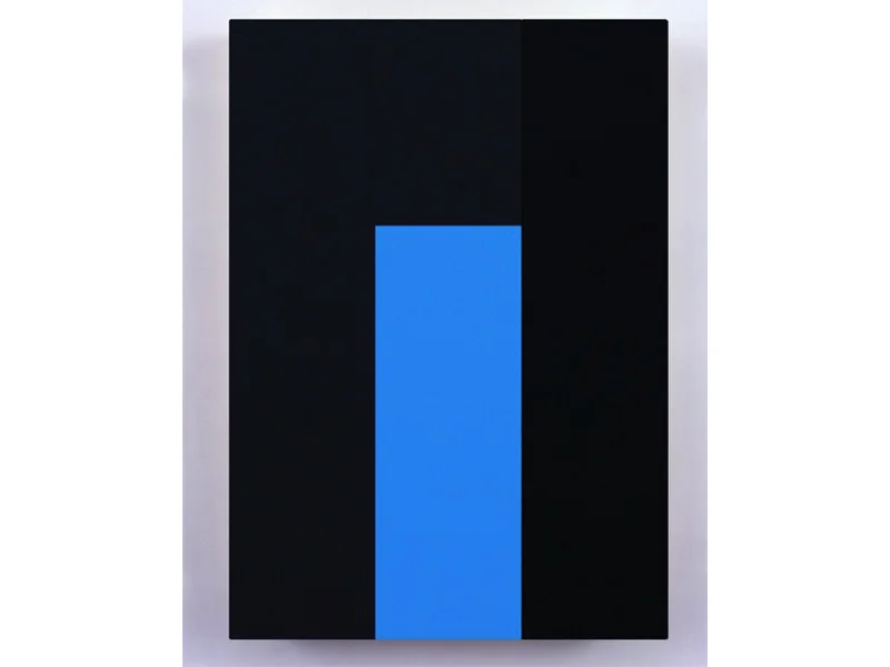 Incompleteness Theorem 8 18" x 13" Acrylic on Aluminum 2010