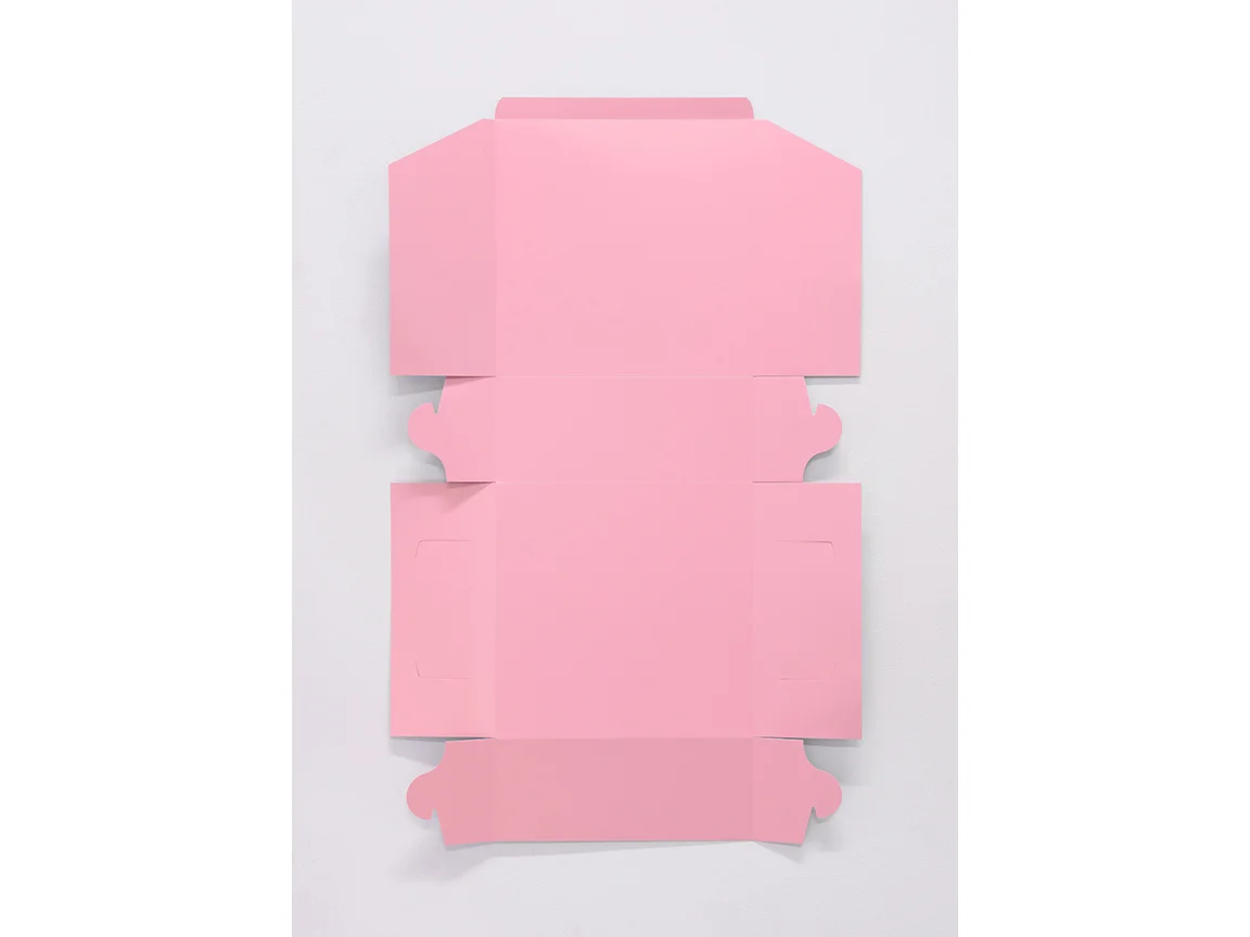 Cake Box 35" x 22" Urethane on Steel 2014