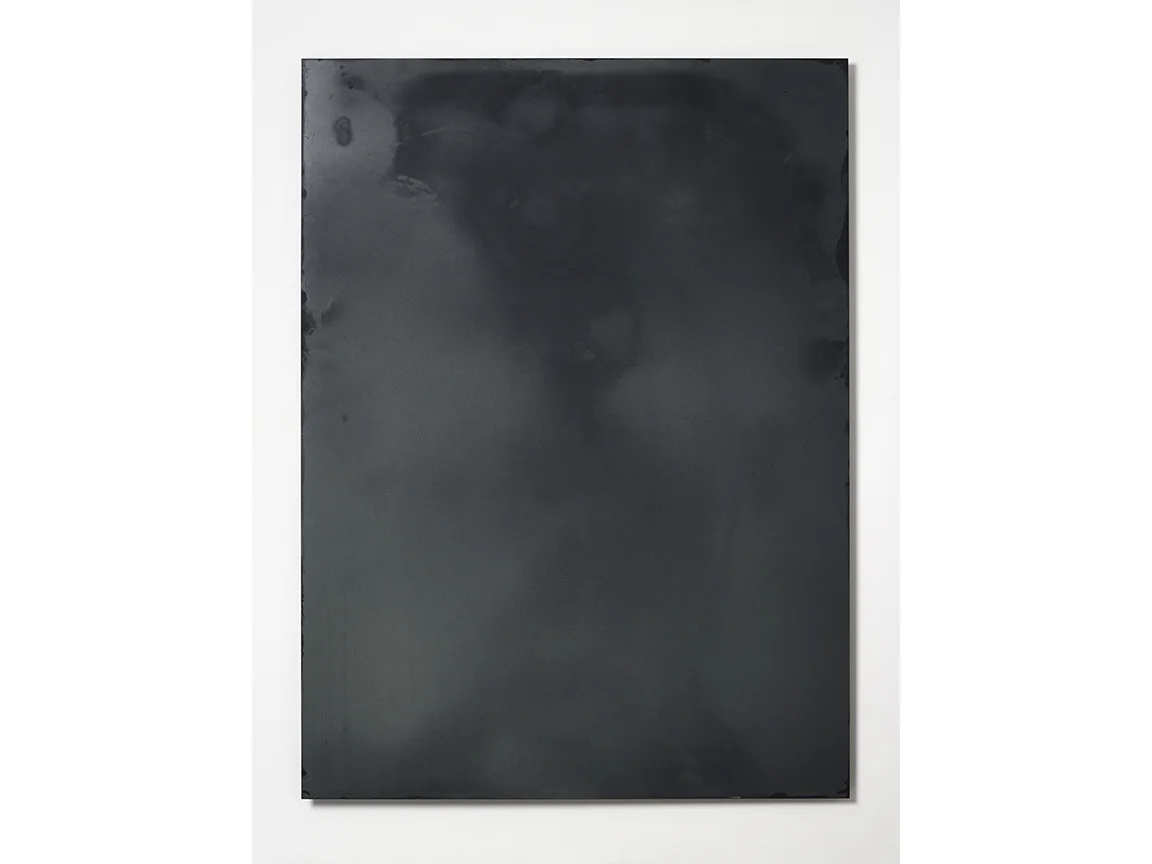 Vanitas 75" x 55" Powder Coat on Aluminum 2015