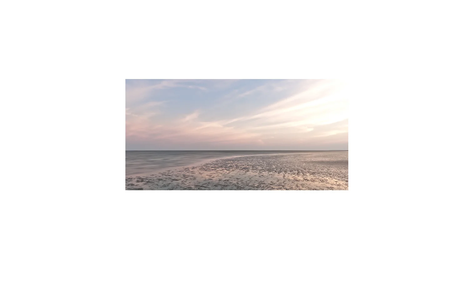 dusk, low tide