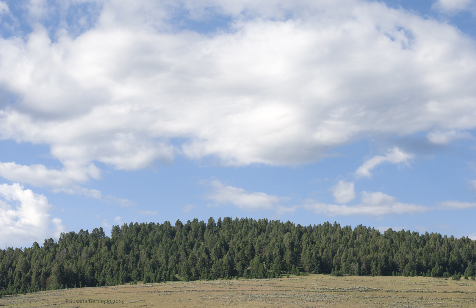 the clouds above