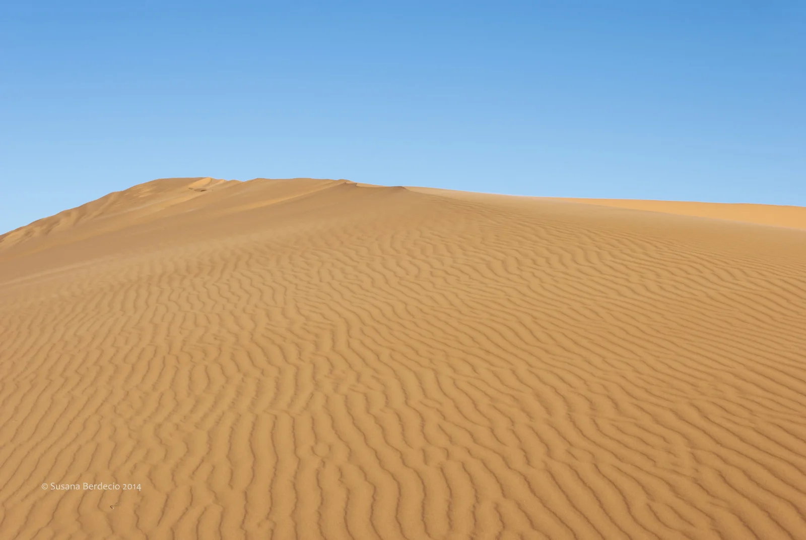dune 1 at dawn