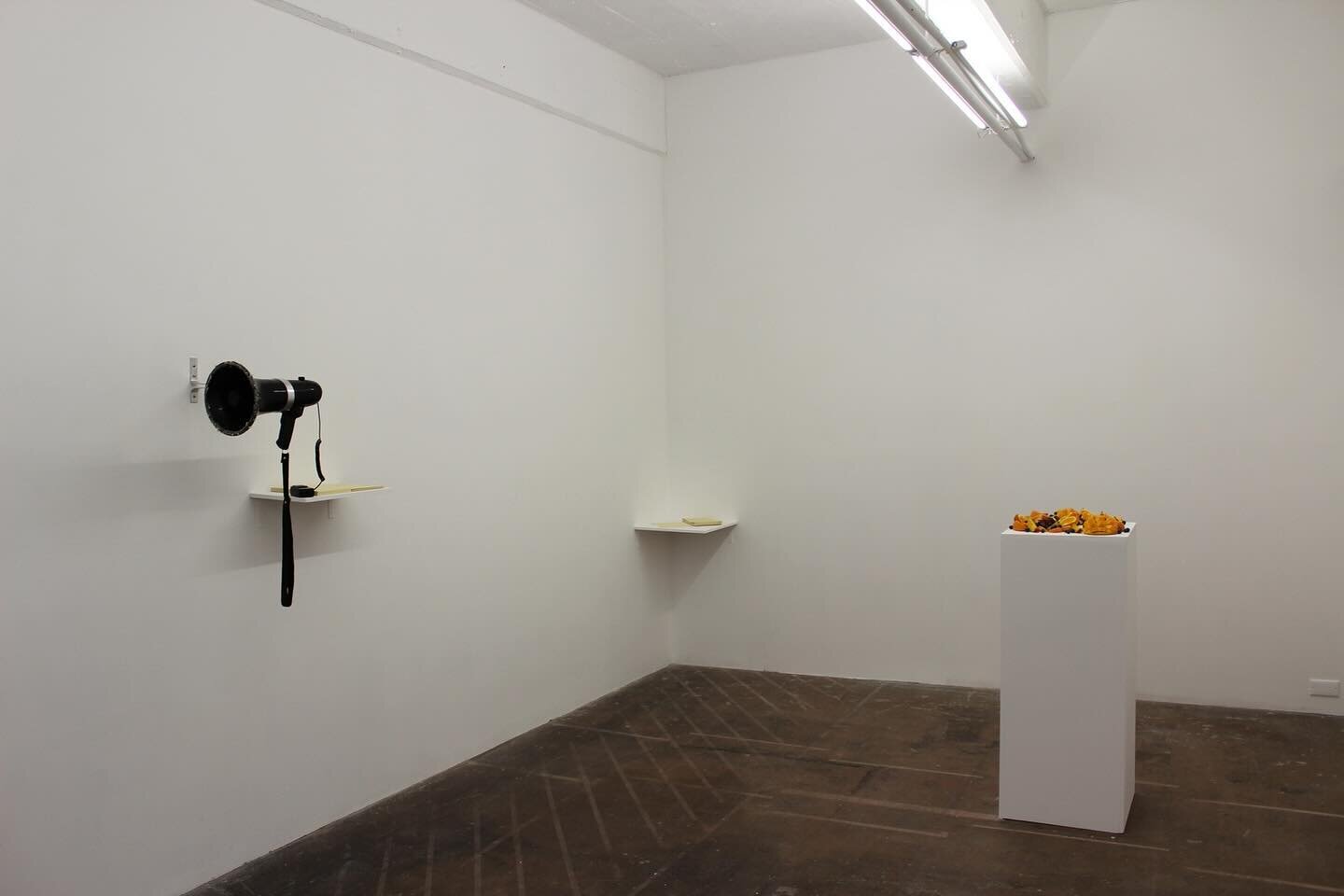 &lsquo;Actions for Sensory Disruption&rsquo;, 2014-2015
durational performance, artist book, megaphone, imperial leather soap, mango, orange, mandarin, peach, passion fruit, blueberries, installation @busprojects dimensions variable. 

Between late 2