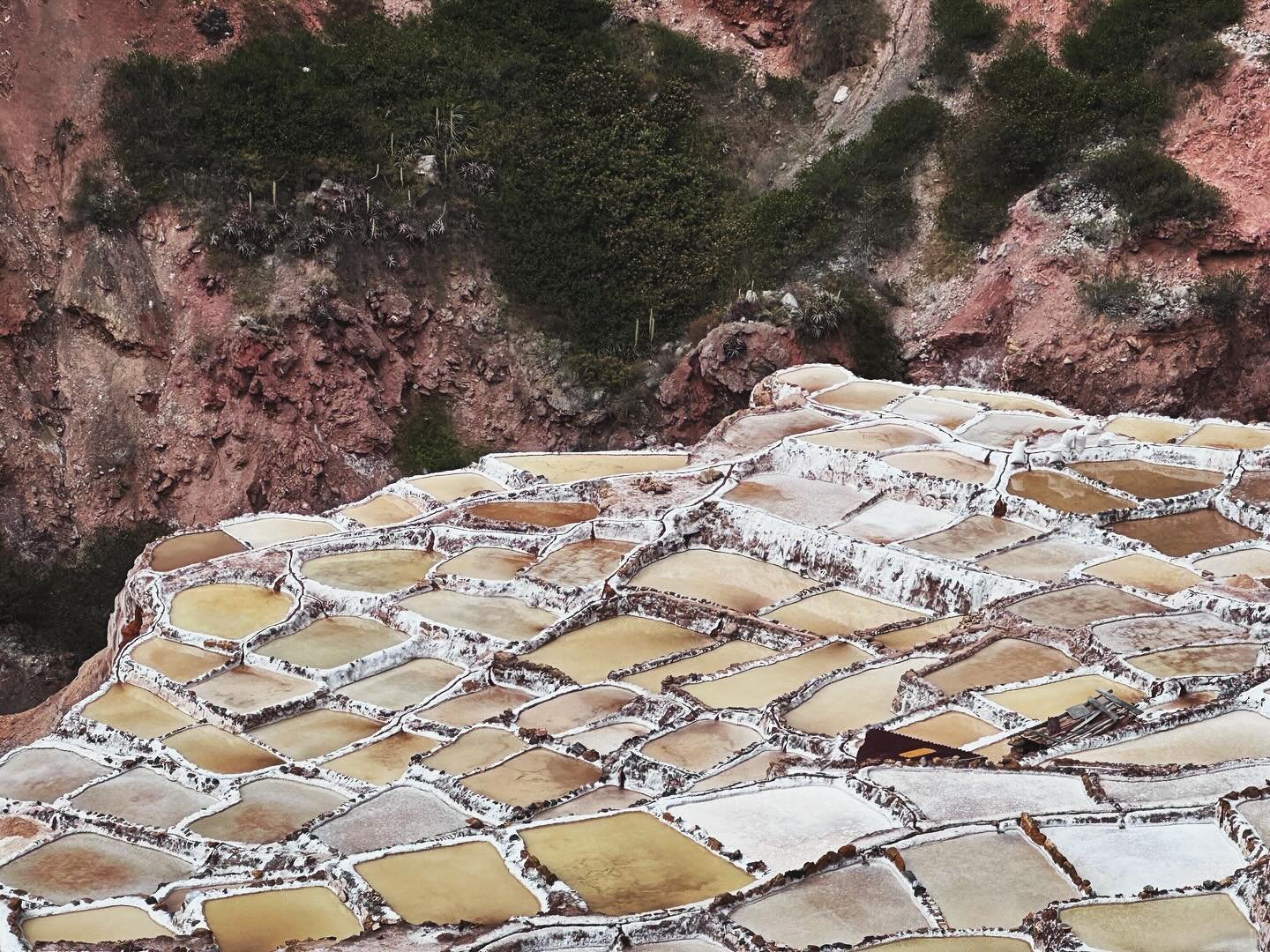 Salineras de Maras x