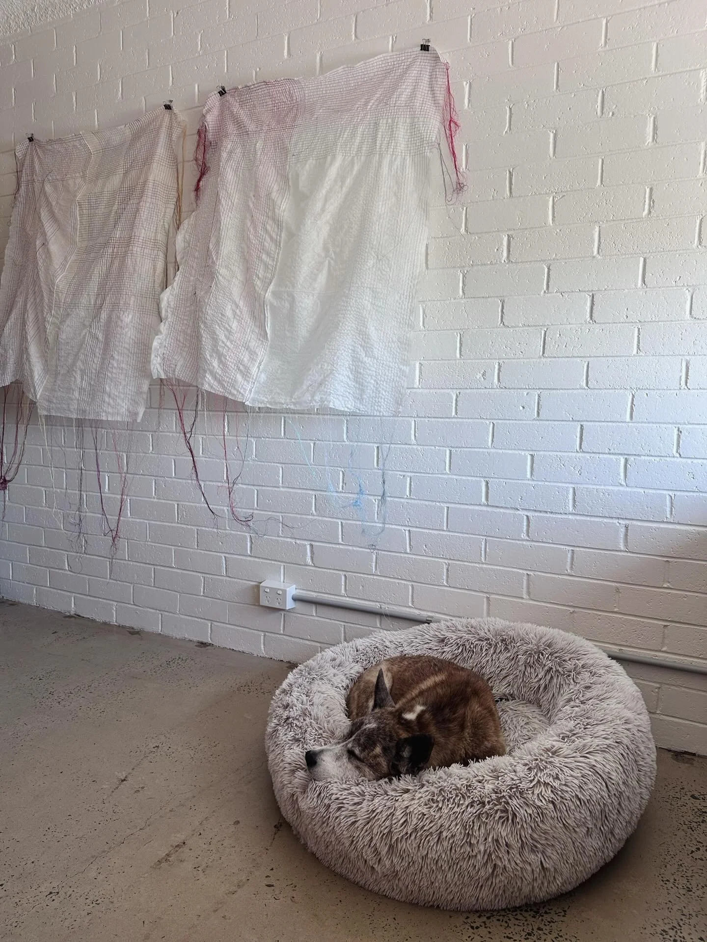 Summer studio days 💕