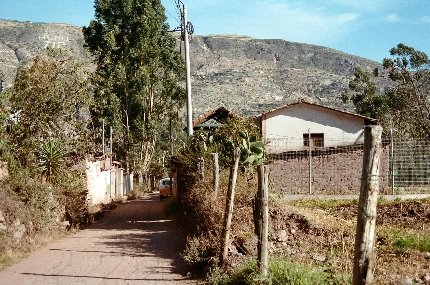 Developing 35mm film from my time in Peru. During my artist residency with @arquetopia I spent my days reading or spinning in the garden with the hummingbirds, or walking dusty lanes searching for wild cochineal - a parasitic insect that grows on pri