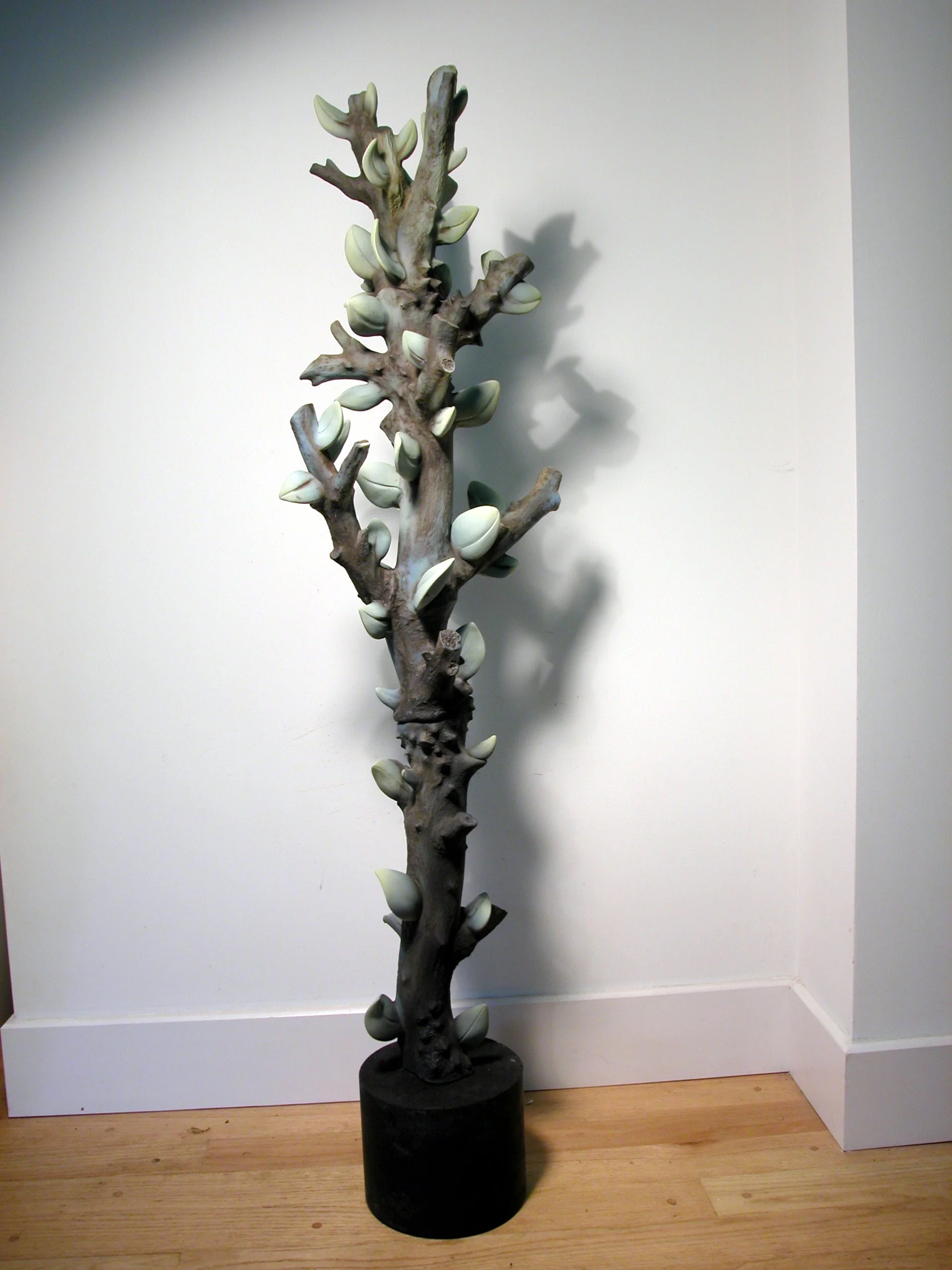 Tree Totem Gallery — Alice Ballard
