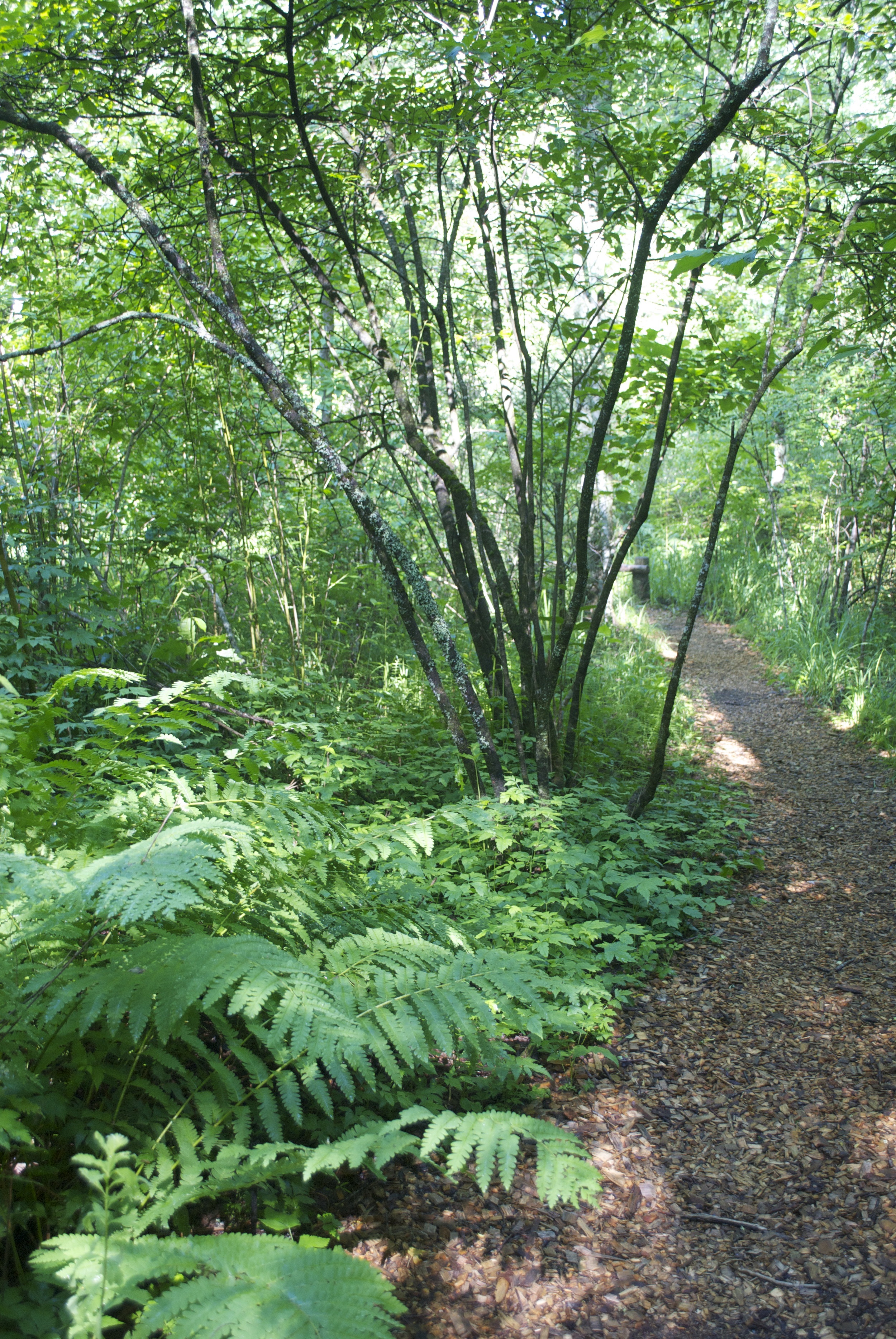And of course the splendor of the Botanical Gardens set us on our journey and path for the day... 