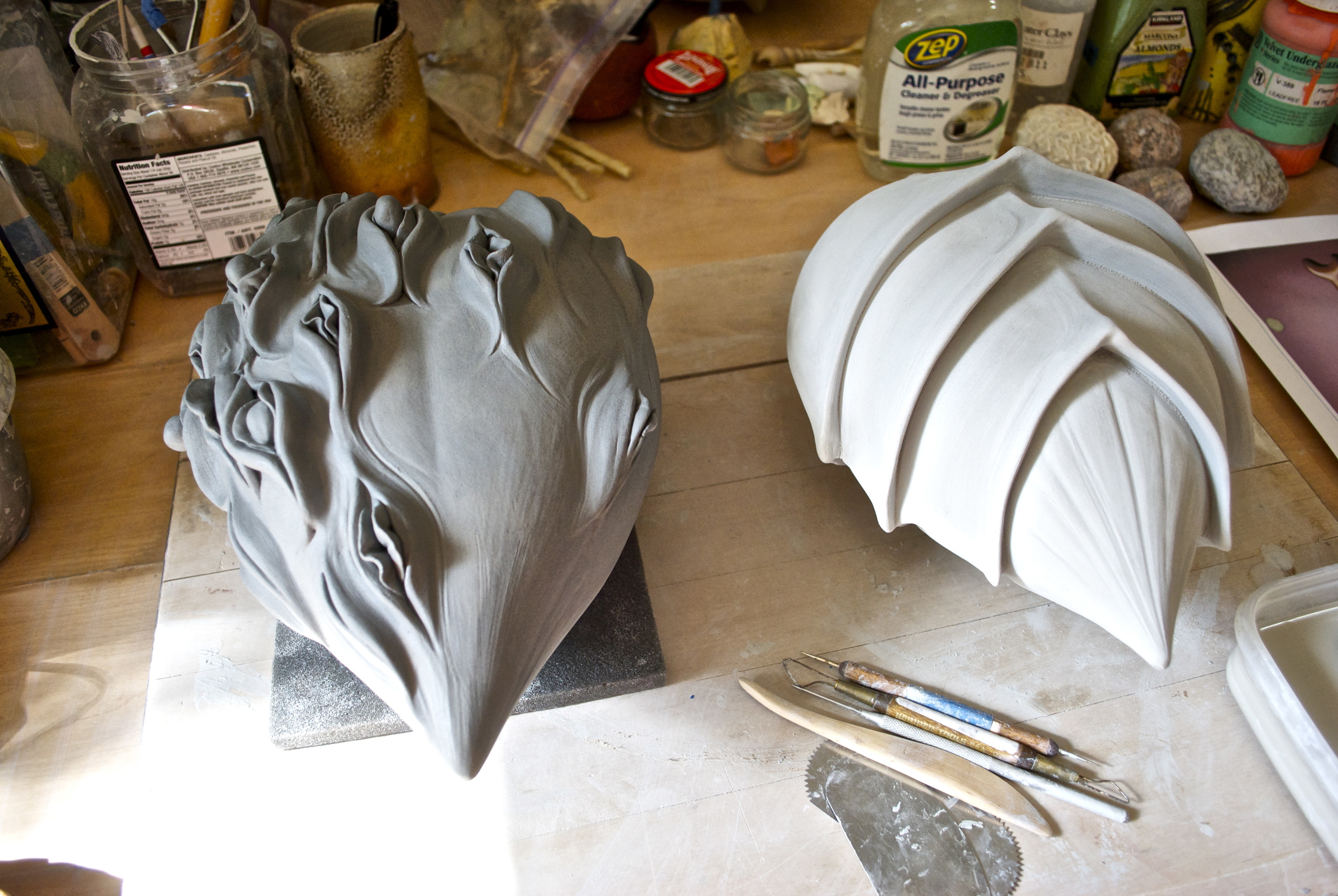 Alice Ballard's studio.... The next blog entry will include images of the Southern Magnolia. When you see them, you will understand my love and fascination with this special tree.