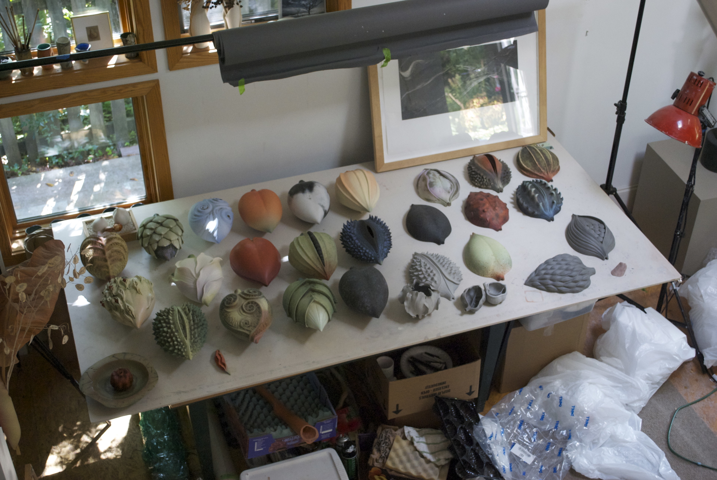 View of my studio - Pods prior to installation at the Greenville County Museum of Art