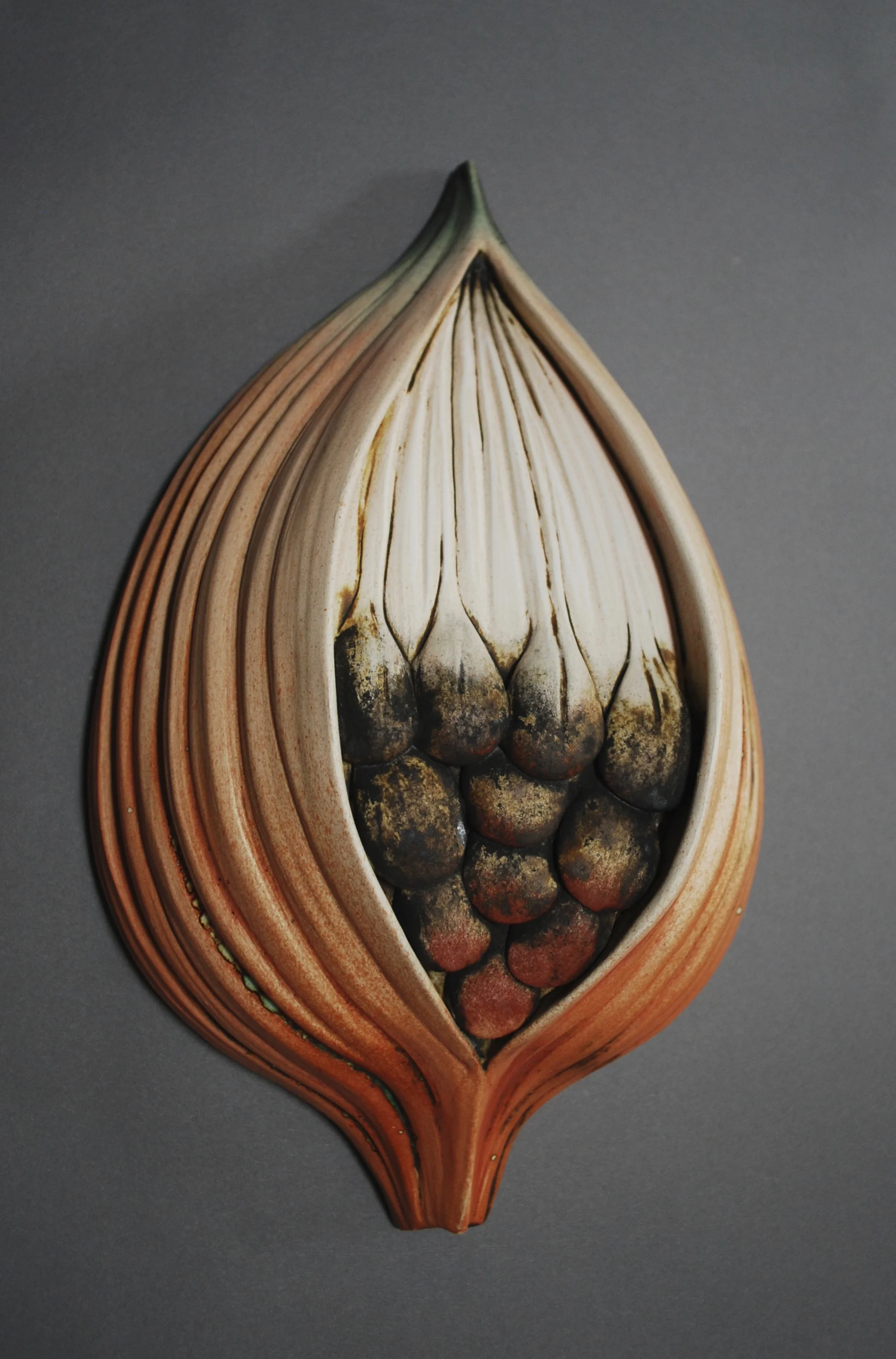inspired by the milkweed pod
