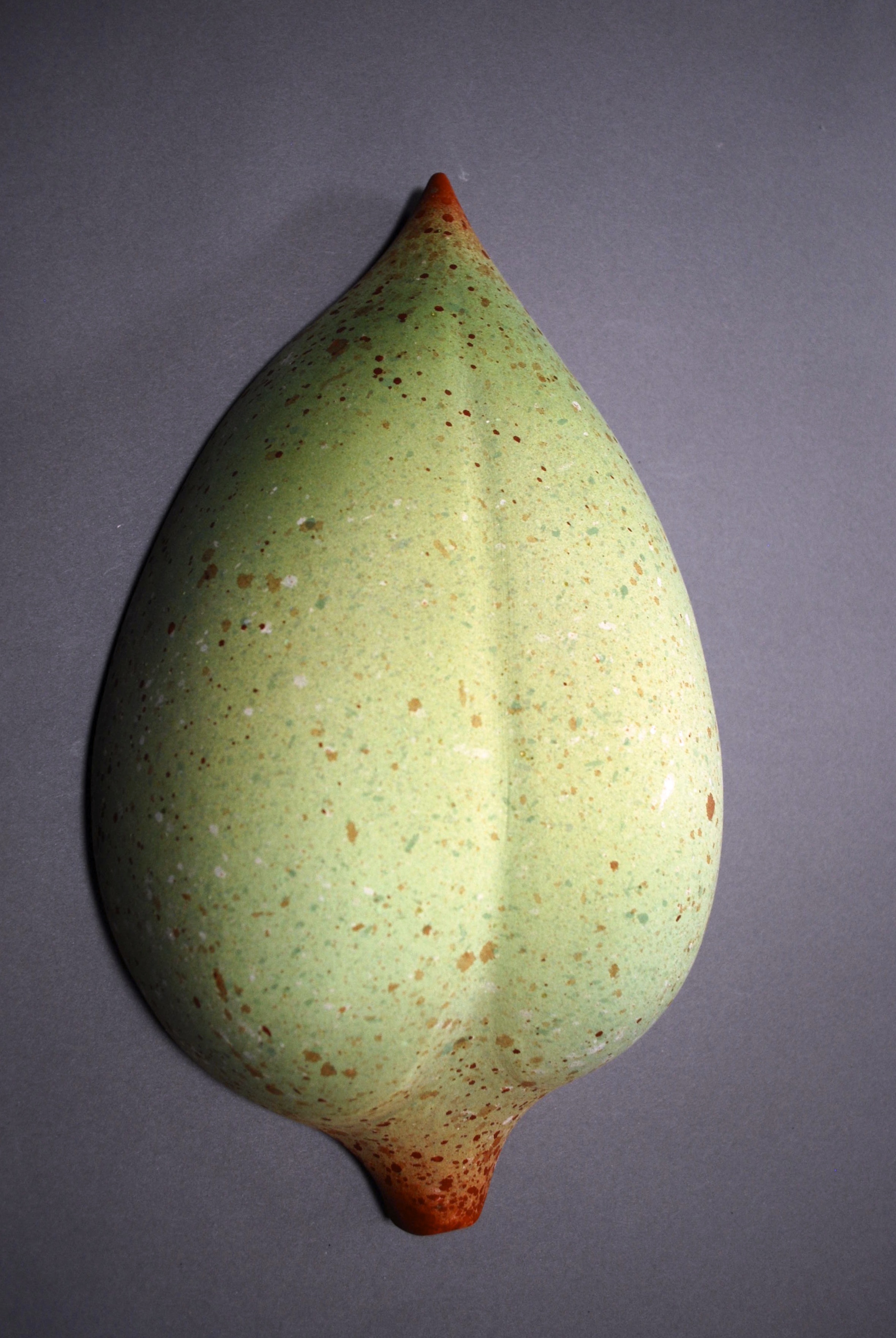 Inspired by the fuzzy green Royal Empress Tree pod