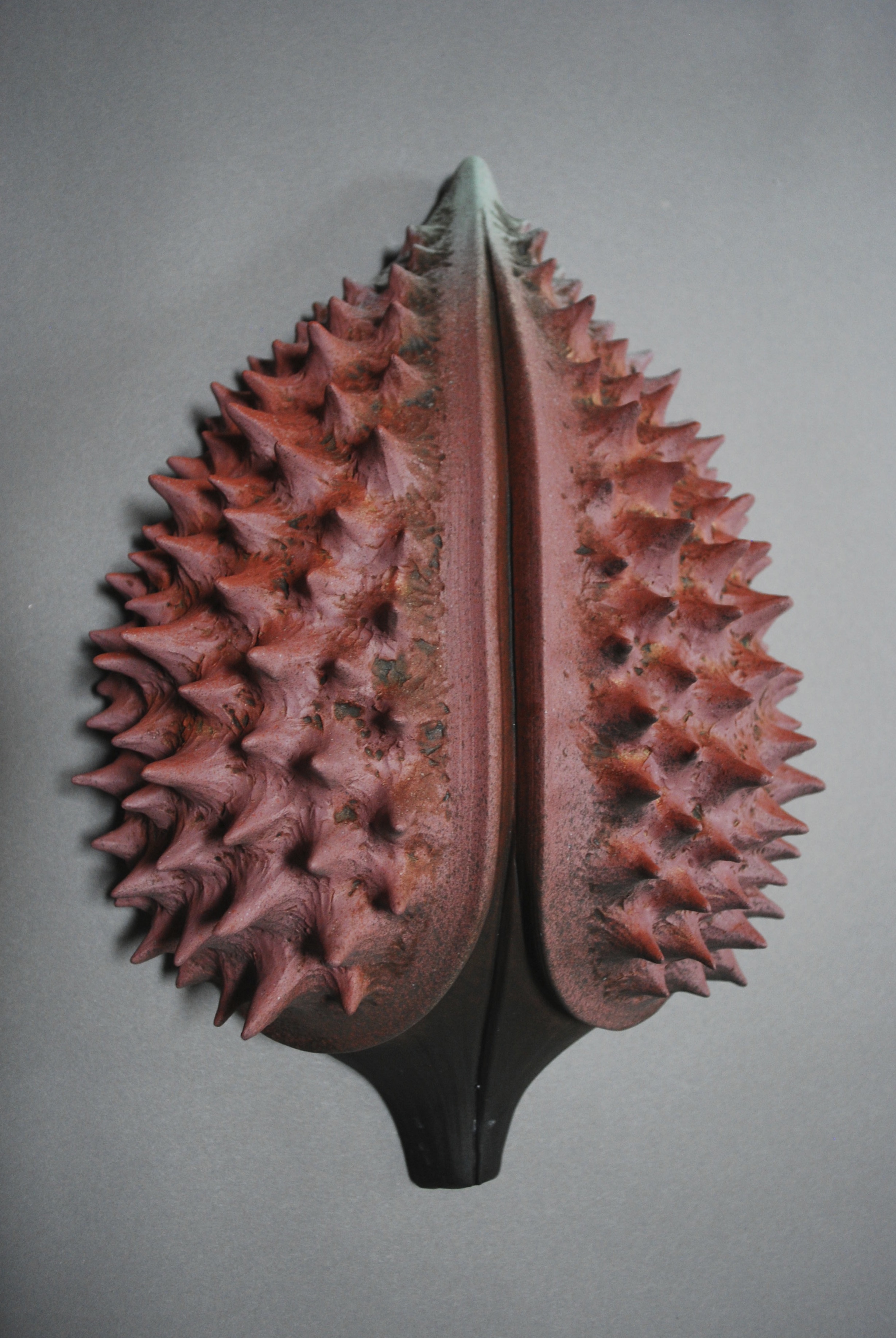 Inspired prickly pods