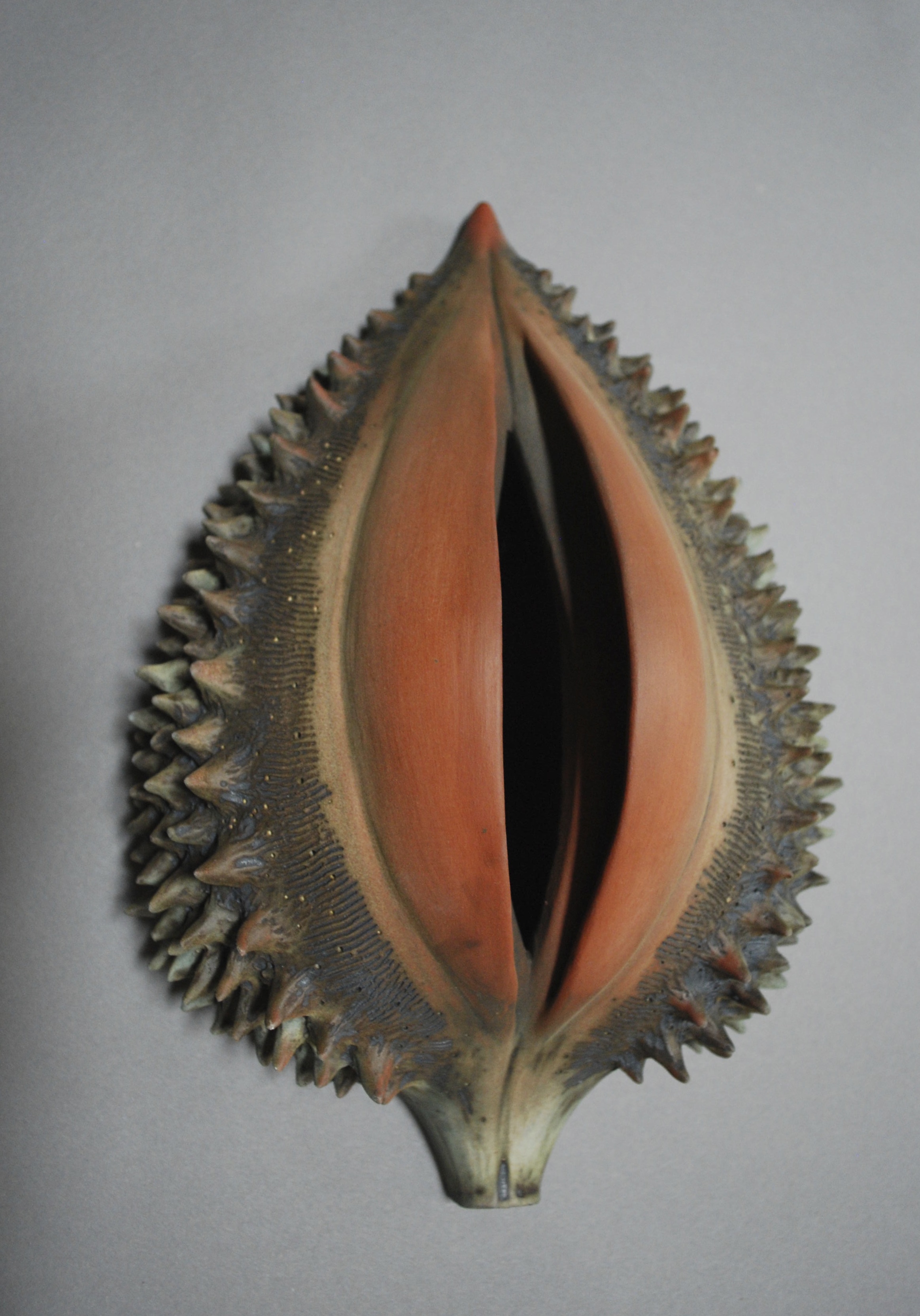 inspired by prickly pods