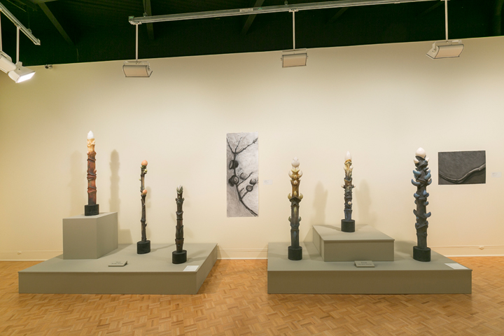 Tree Totem Series, working drawings, GCMA, Alice Ballard's solo show georgeleephotography.com