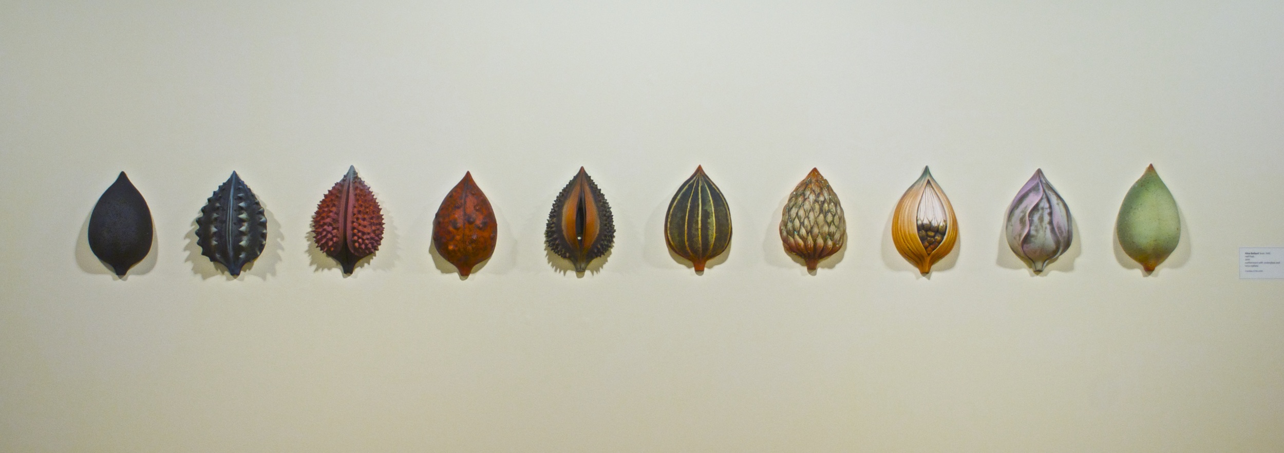 "10 Half-Pods", a wall installation by Alice Ballard, approximately 10 feet across and at a height of approximately 4.5 feet. Each Half-Pod is made of earthenware with oxides, and colored terra sigillata