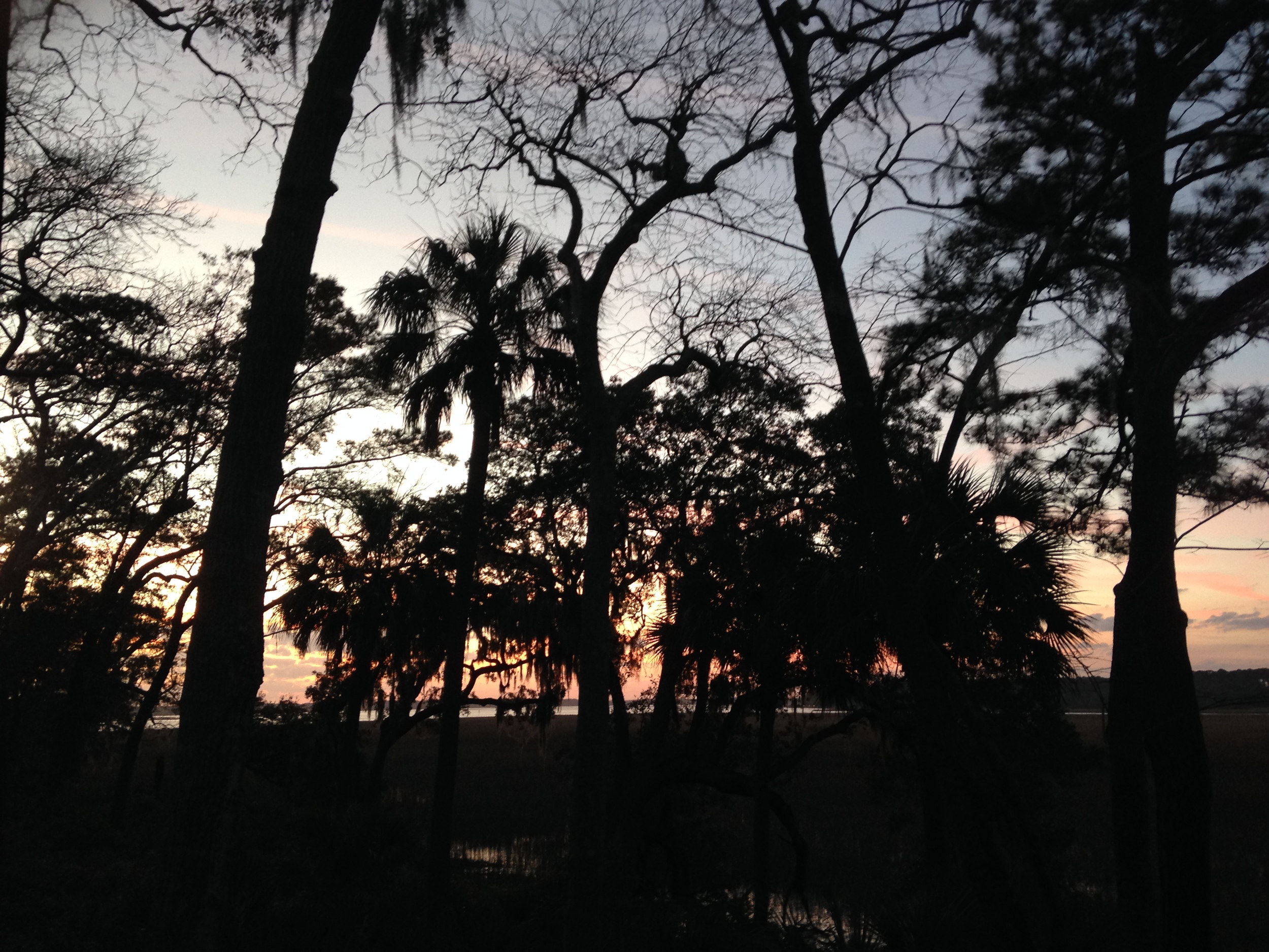 A view at day's end of the watery and textural environment that encompasses Spring Island.