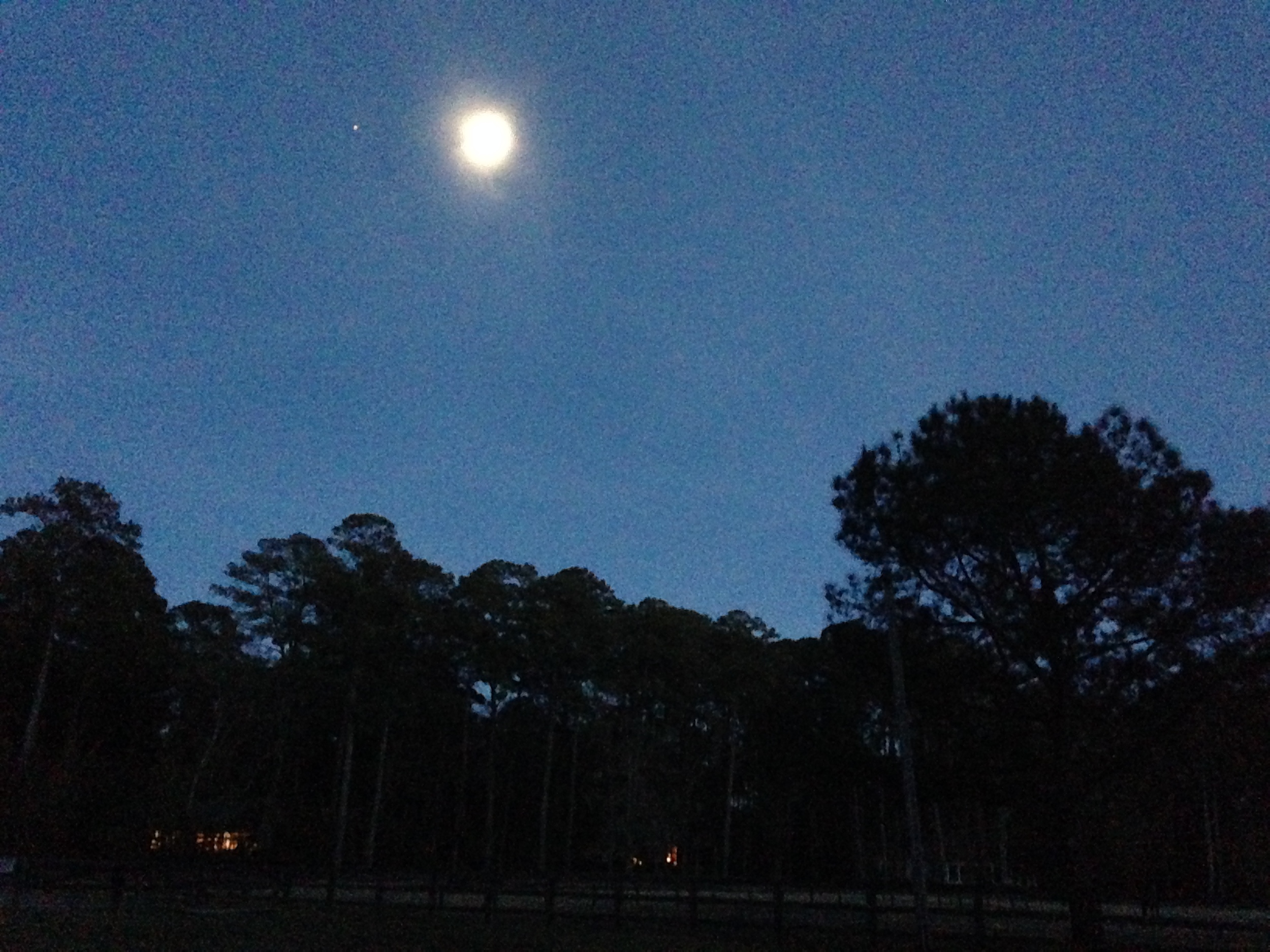Home for the evening and a view of the moon and a lone stare were made special by the darkness of the island. Only a few lights glitter in the distance across the horse pastures near my cottage and the barn.