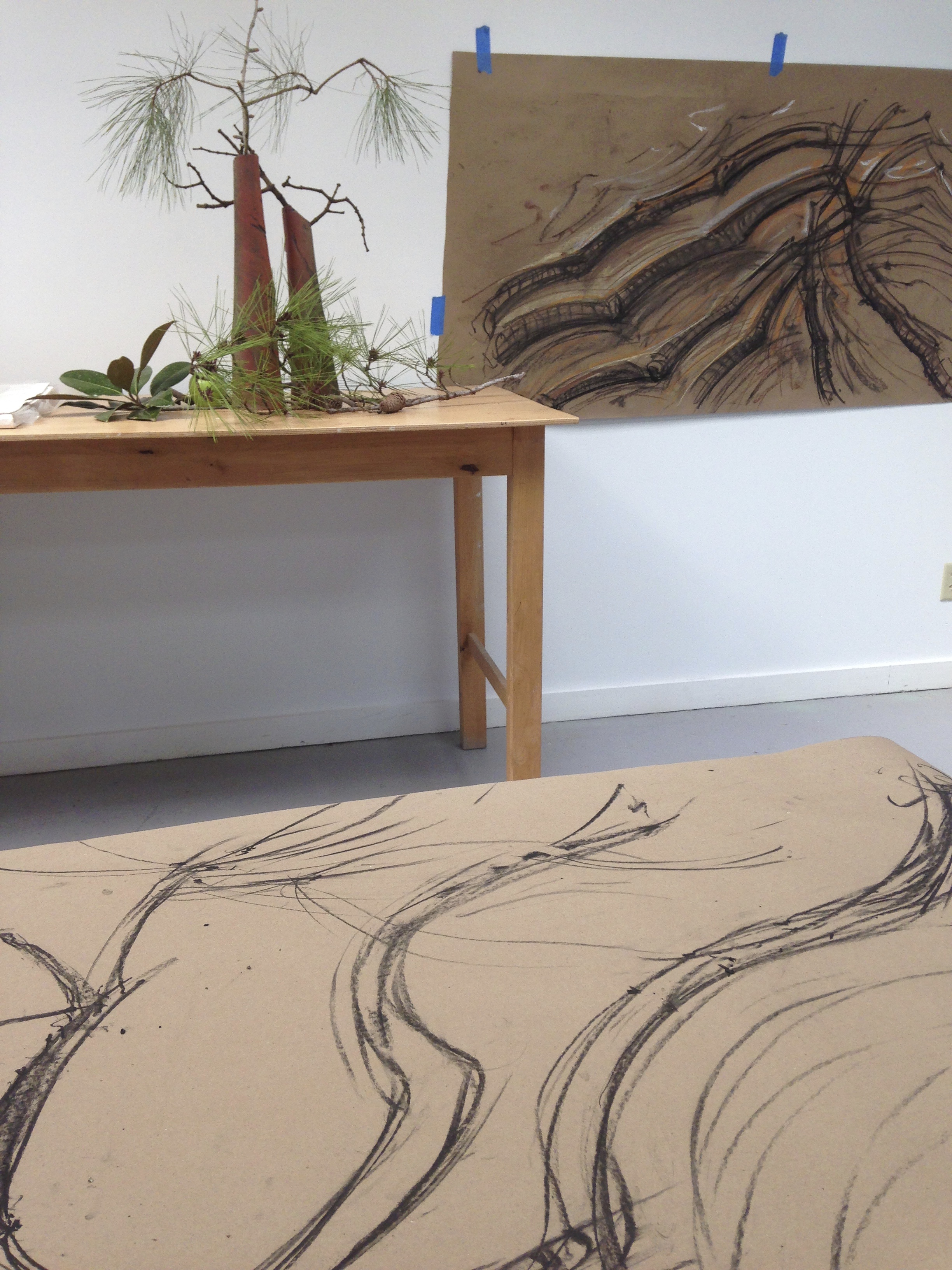 In this large charcoal drawing you can see the influence of those long needled pine branches I collected from the tree just outside the studio. 