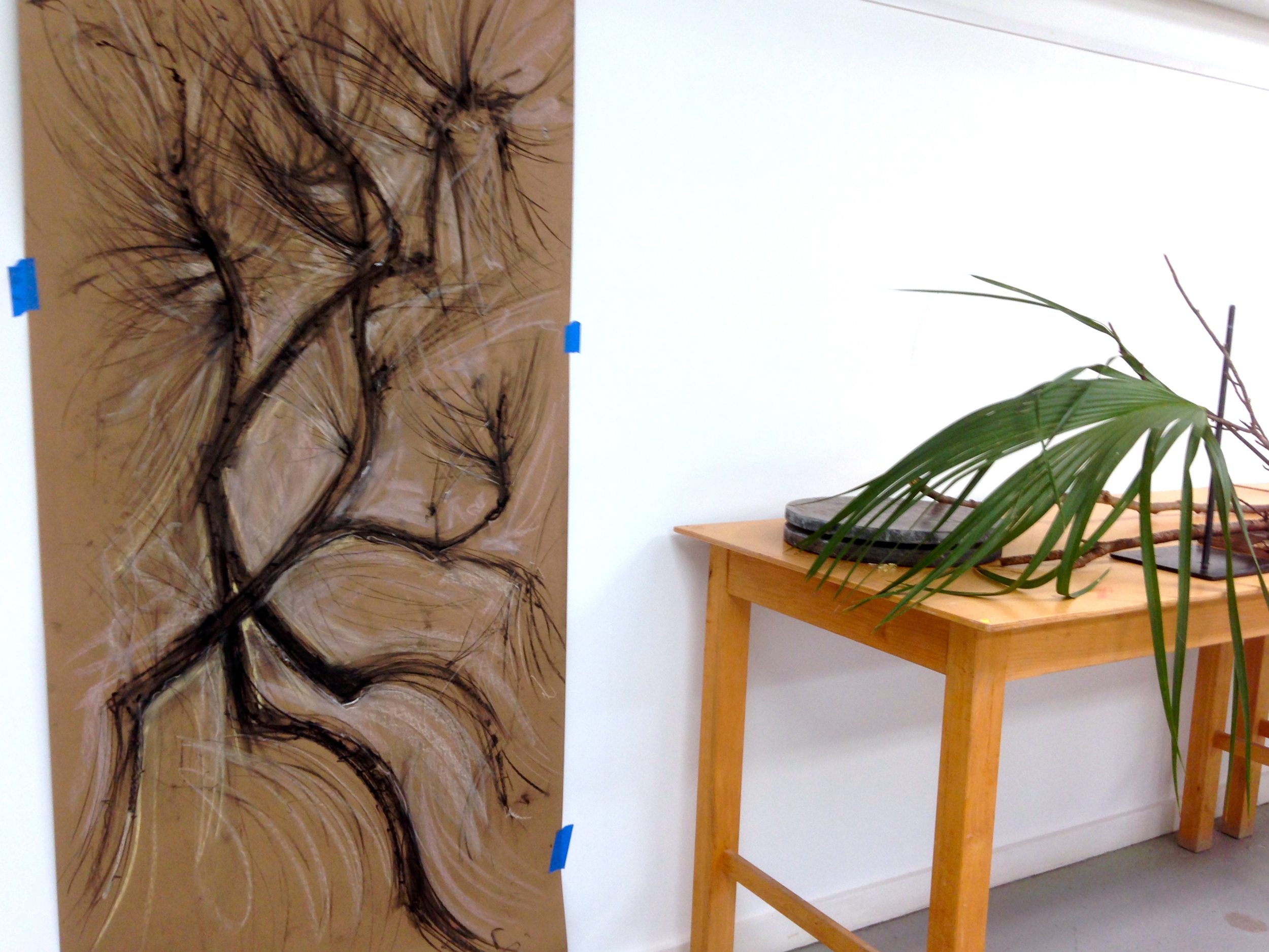 The finished drawing of the pine branches, along with the other drawing became the bookends for a still-life of my red earthenware crepe myrtle containers with branches, leaves, pine cones and a palmetto fan. This arrangement along the back wall became the central element of the installation I was trying to create inside the Barn studio where I was working.
