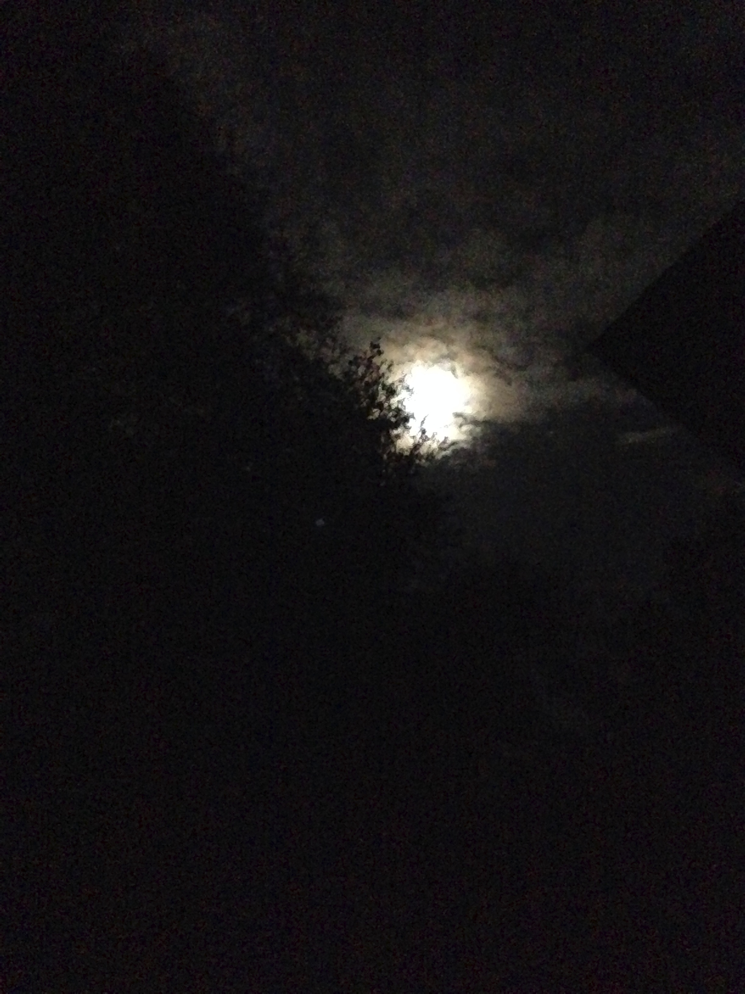One last look at the moon over Spring Island from my Cottage before calling it a night...