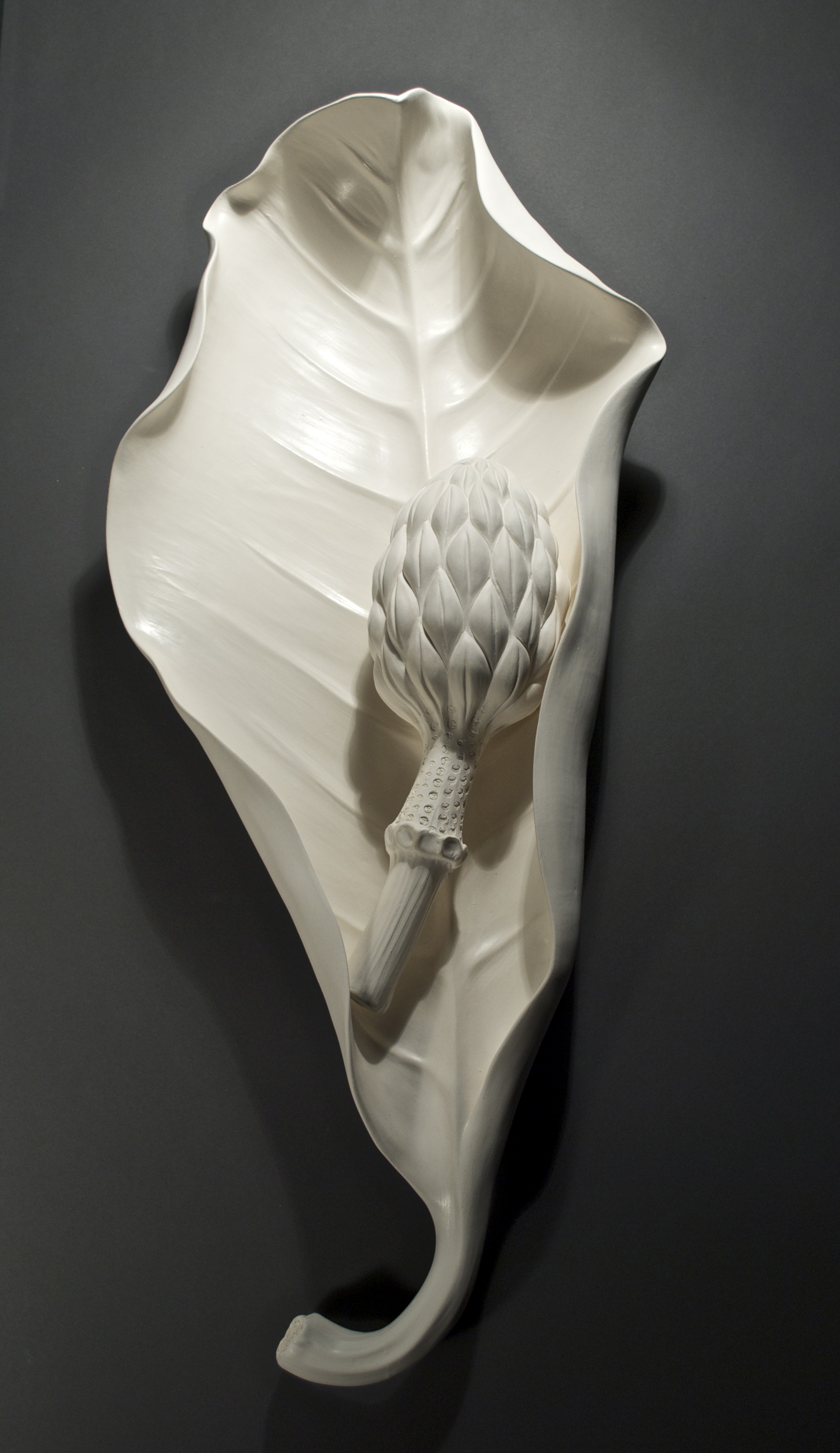 Look for this image of my work on the list of instructors if you are interested in checking out my workshop. Alice Ballard – Finding Your Form Through Nature Alice Ballard - Finding Your Form Through Nature. June 28 — July 3, 2015. Medium: Ceramics Level: Open - All LevelsTuition: $525 | Lab Fee: $45.