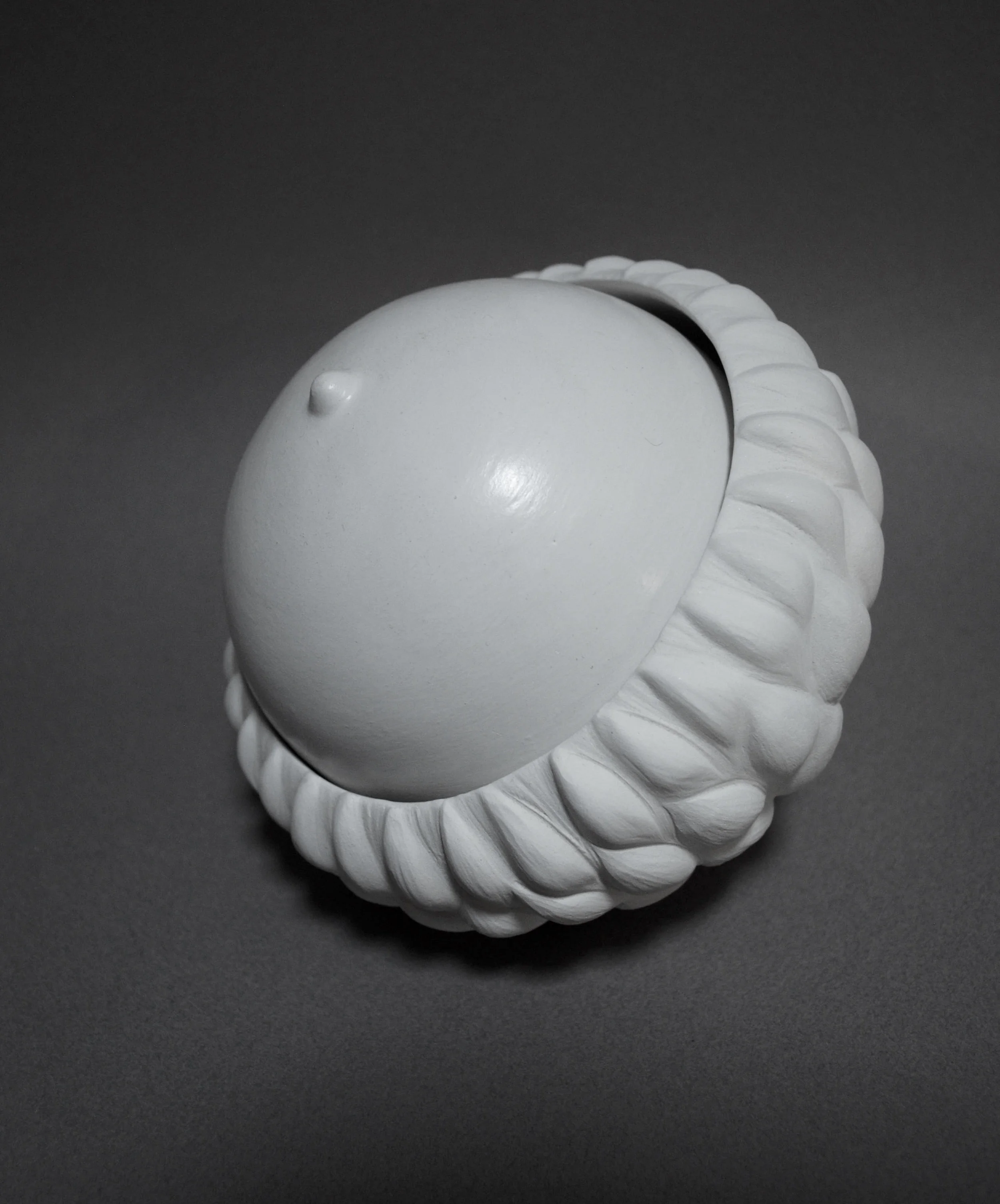 Acorn & Cap, part of an installation called "A Walk Remembered", white earthenware with terra sigillata, approximately 10 x 10 x 10inches