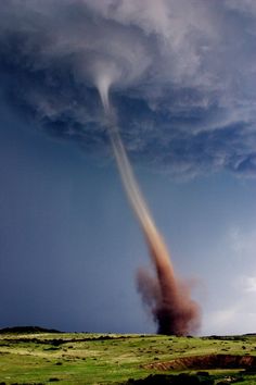 Martha!!! Is that you traveling toward the light of the universe?... hmmmmmm...... 