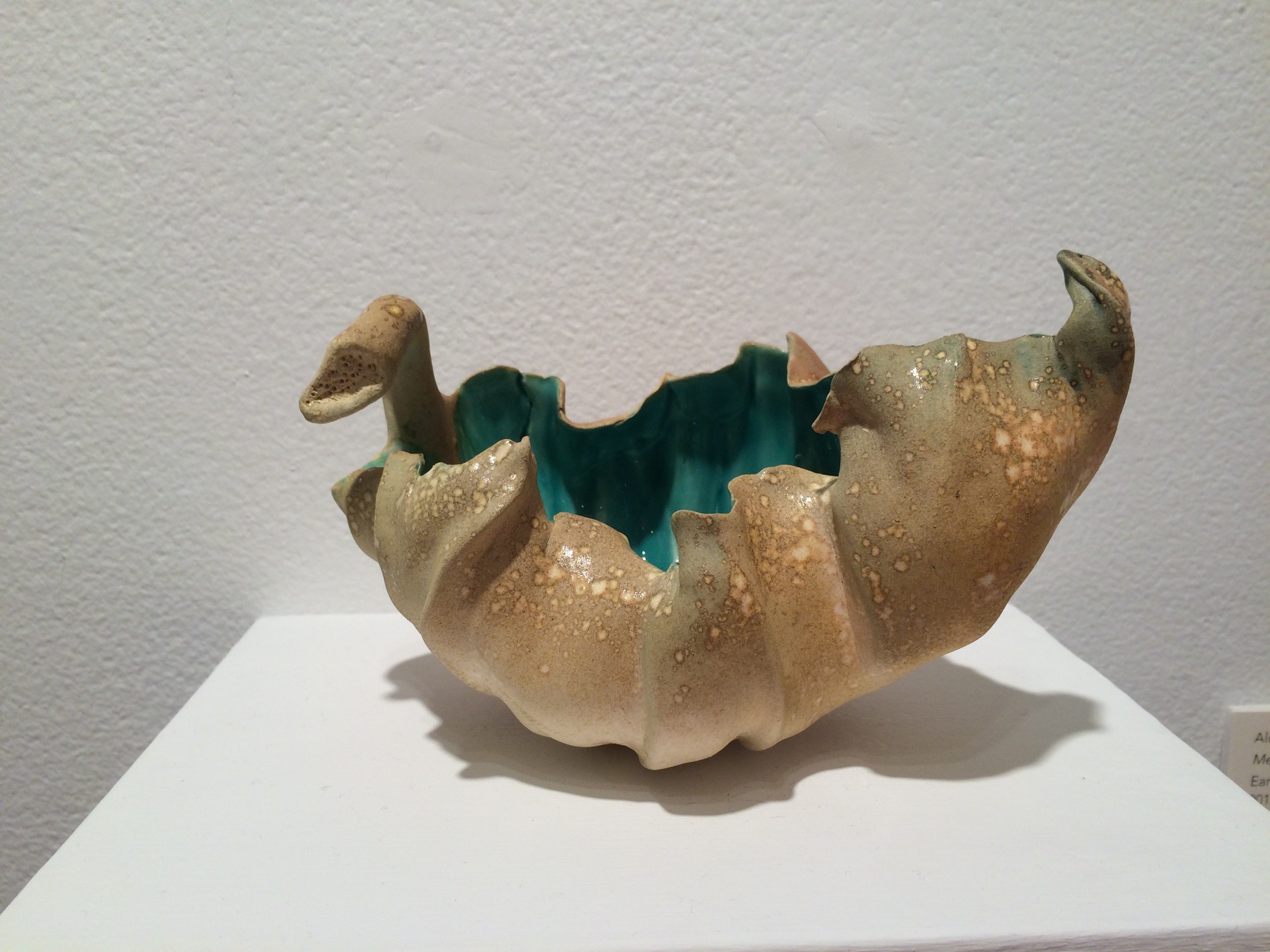 Pinched Meditation Bowl in the Arrowmont Instructor's Show
