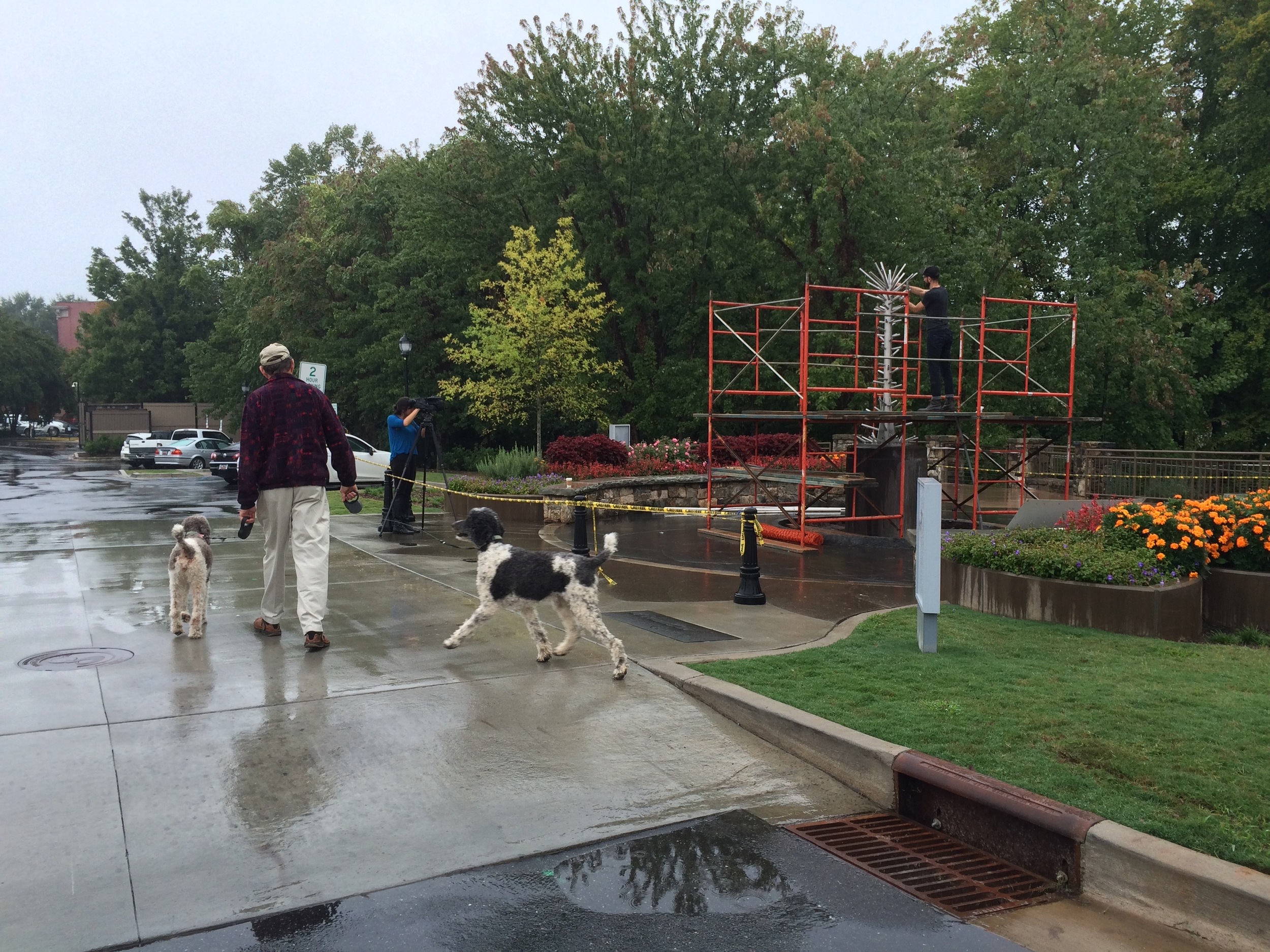Roger, Rosie and Jaz as we begin our morning walk in the rain, in Falls Park.