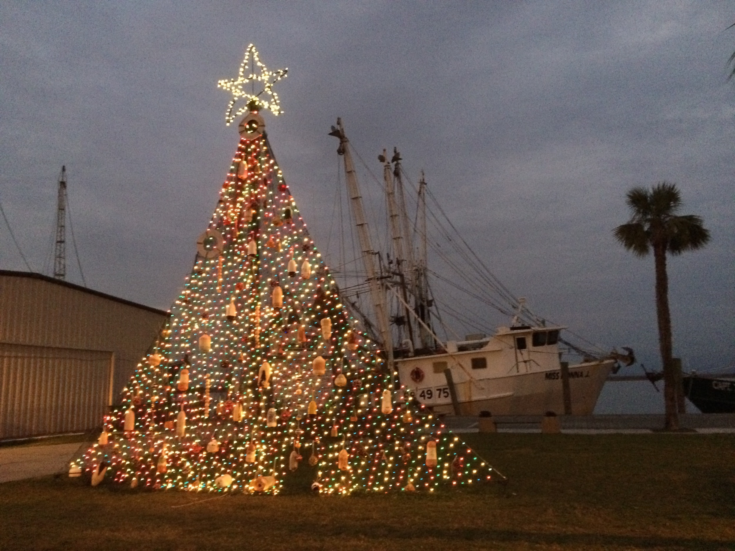 Christmas in Apalachicola, Florida, just across two bridges from lovely St. George Island. Thank you Dow for making this trip possible.
