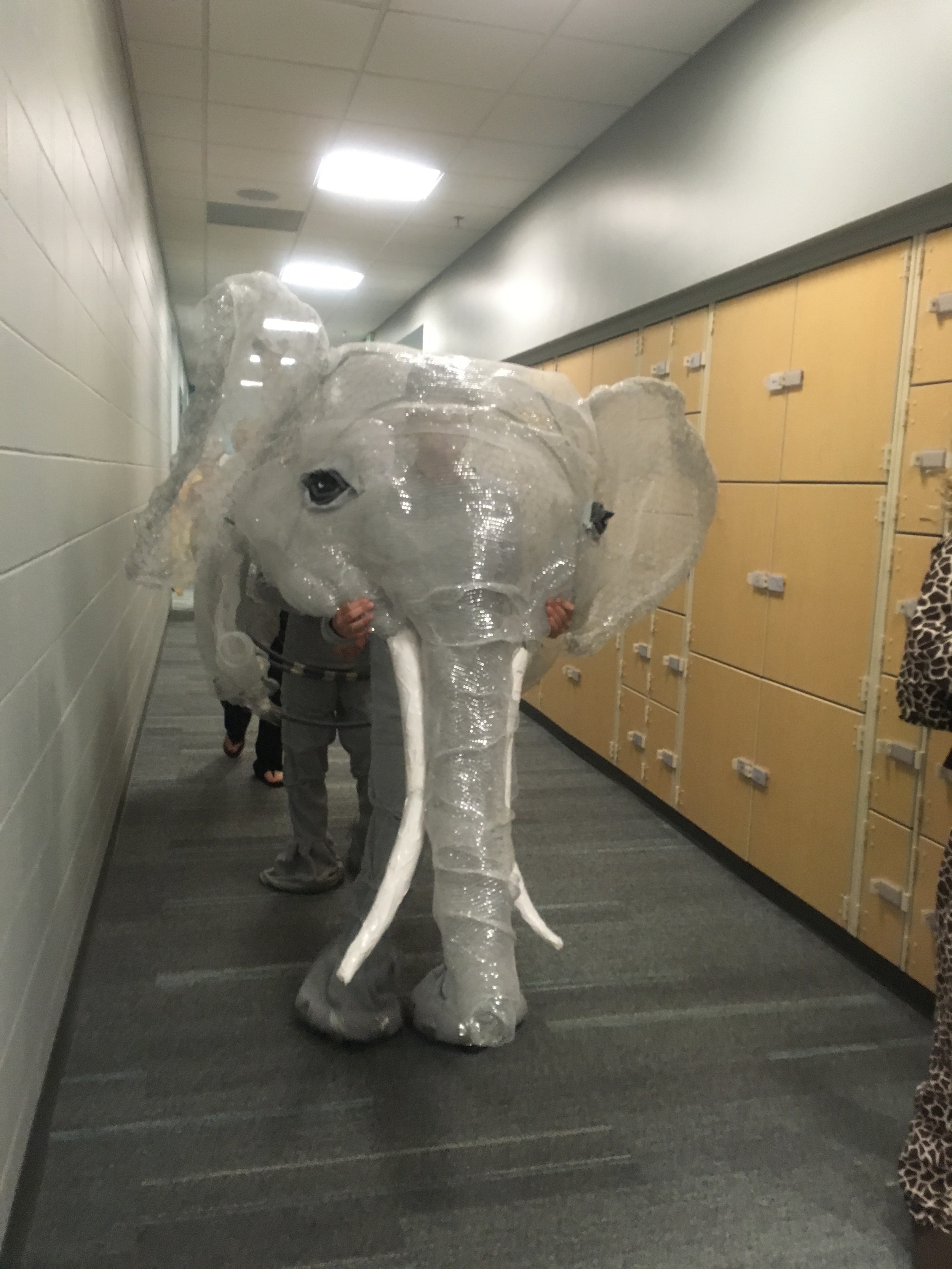 Check out the elephant feet and legs... Way to go Allison!