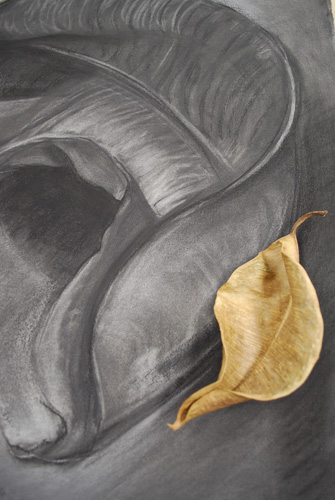 Alice Ballard, gift from Alex , charcoal, ebony pencil, conte, 22 x 20 inches