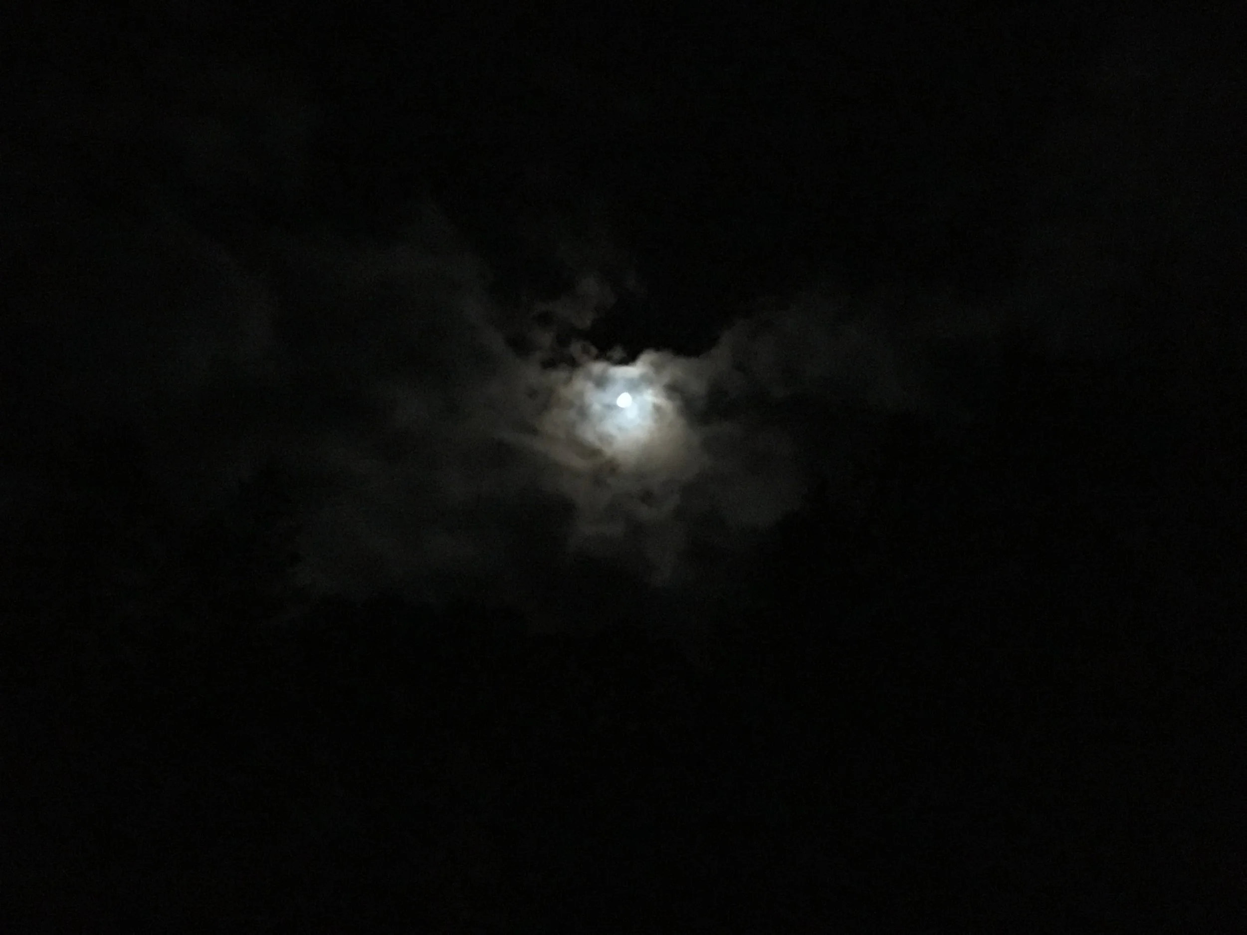 IMG_5276.jpg