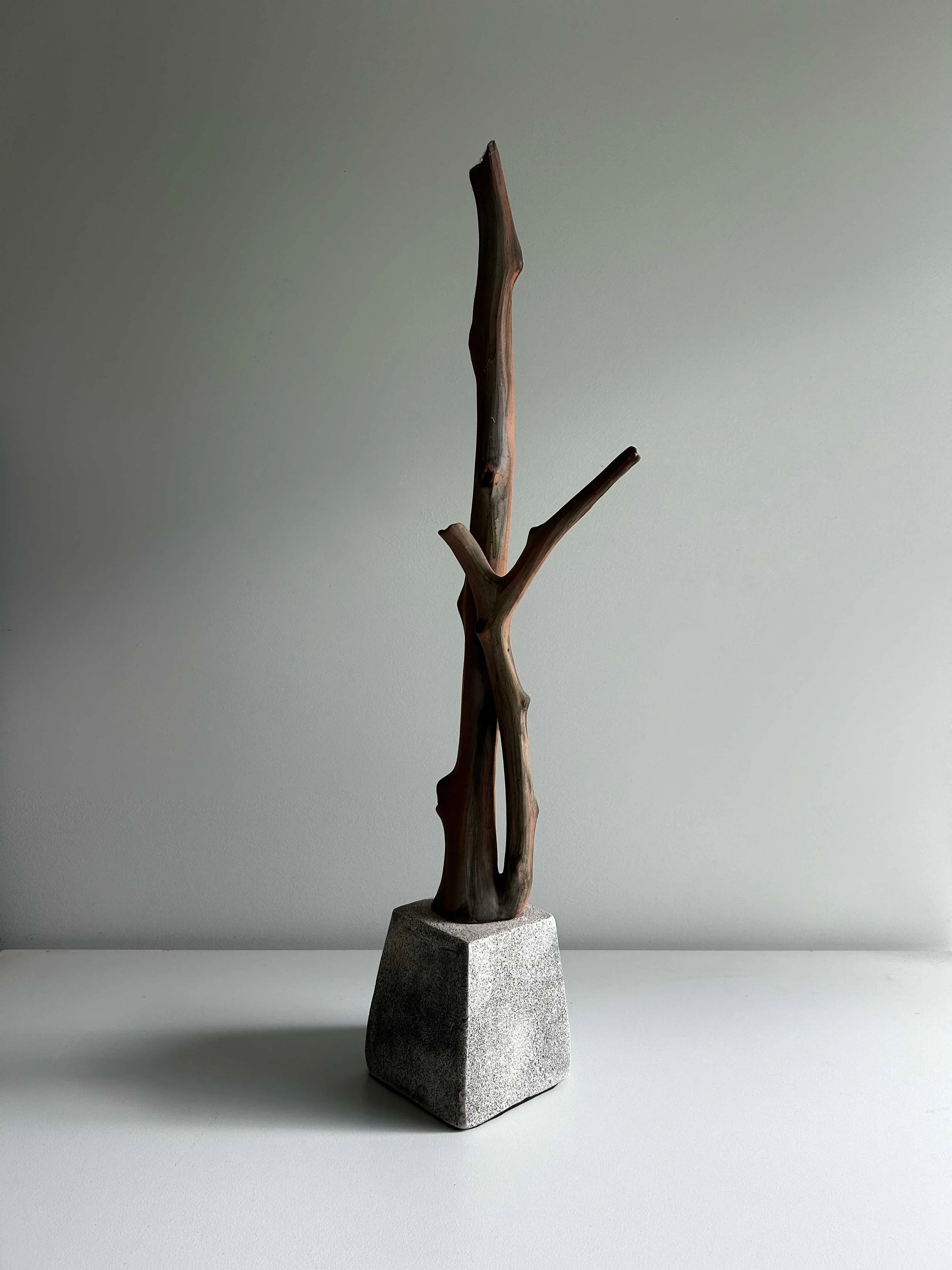 Crepe Myrtle on Base