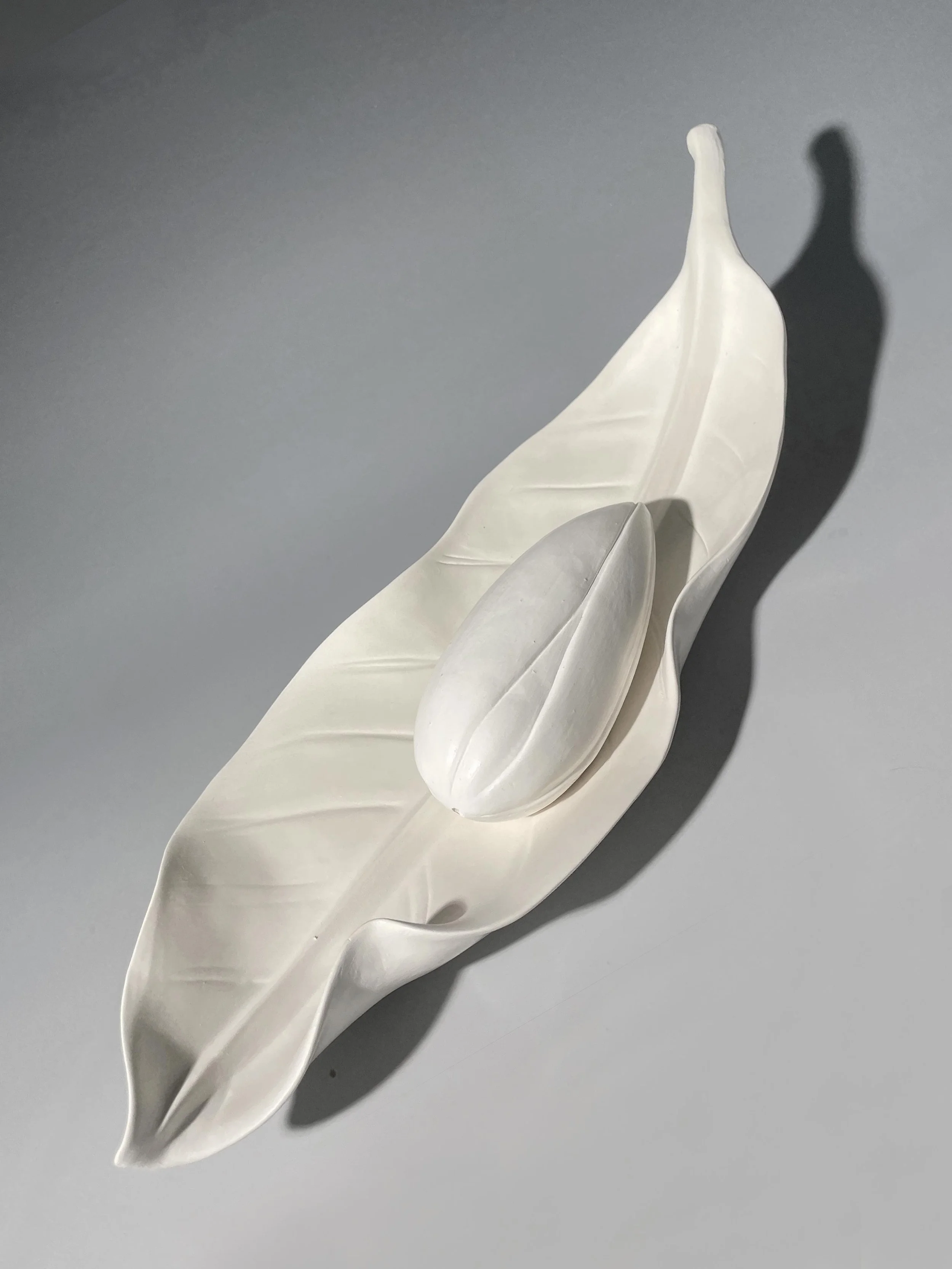 Magnolia Leaf and Bud Pair
