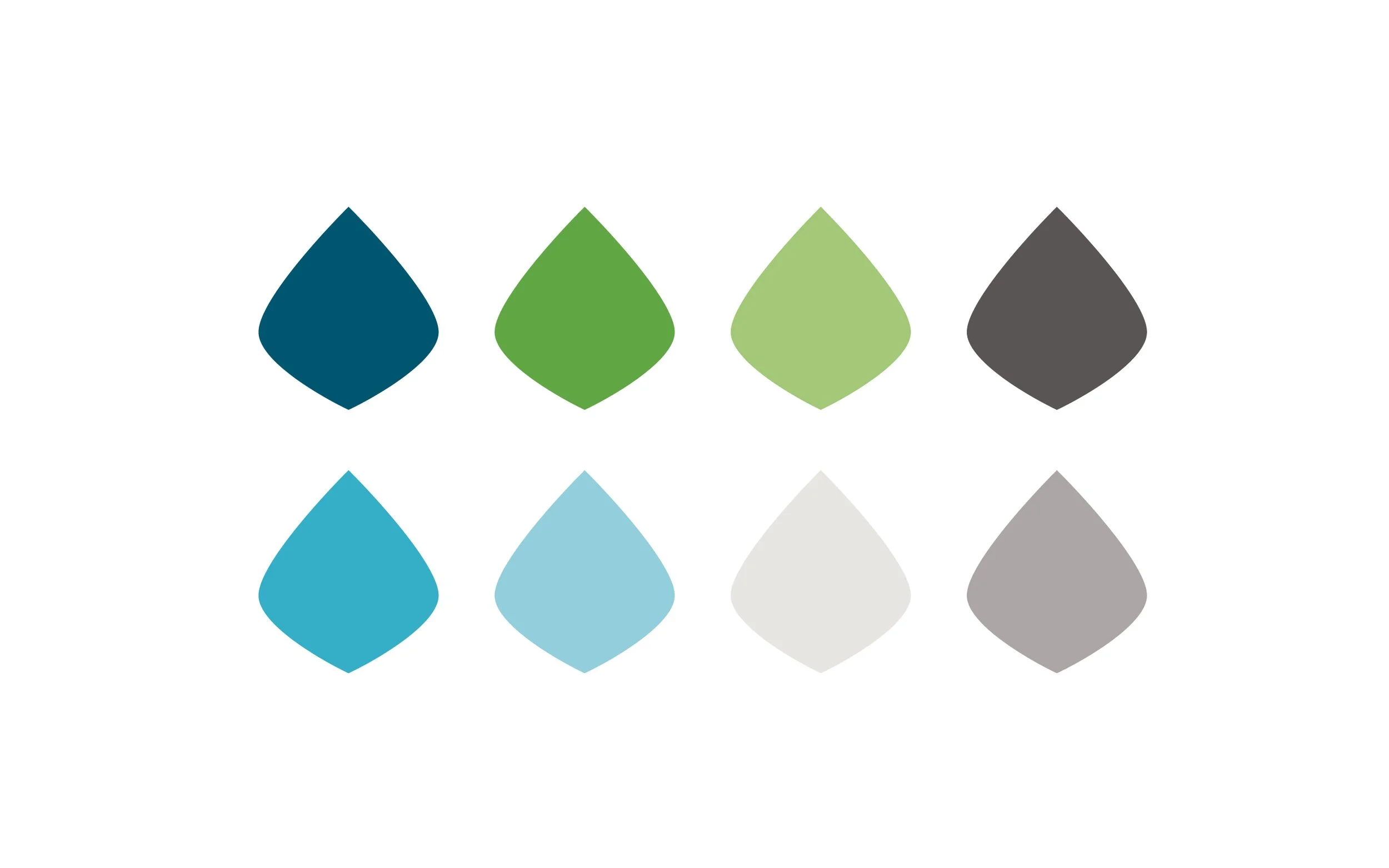 Color Palette