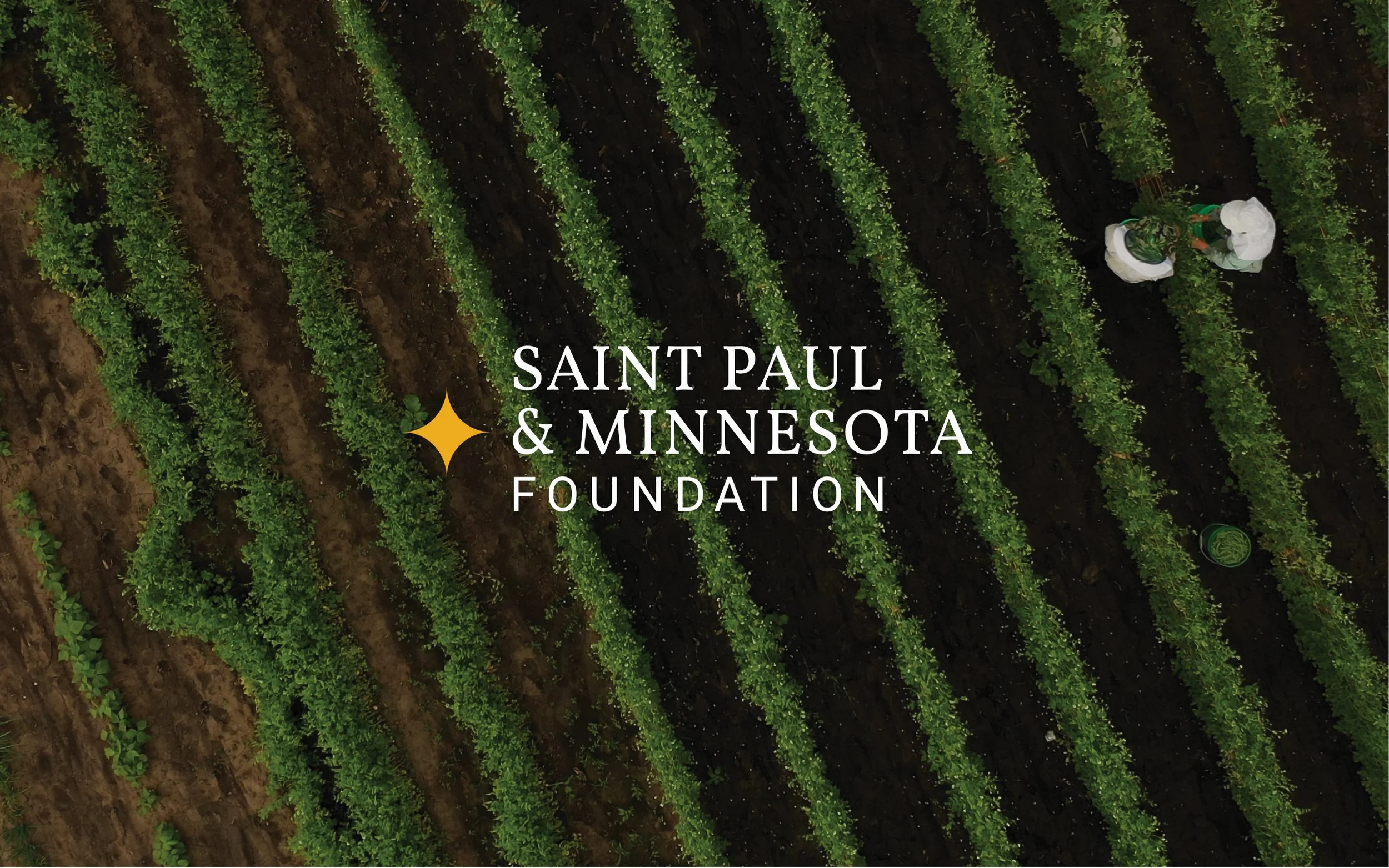 Marketing Collateral Design and Production