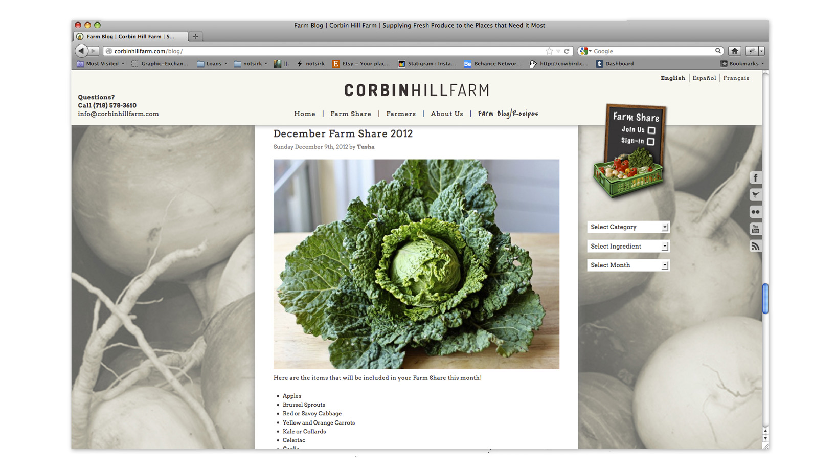 CHF_website_blog.jpg