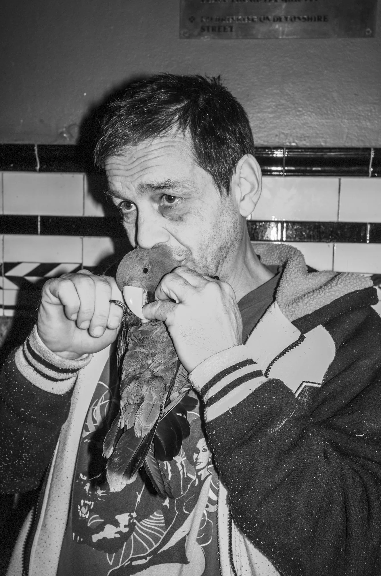 hewitt_meg_pierreparrot-1.jpg