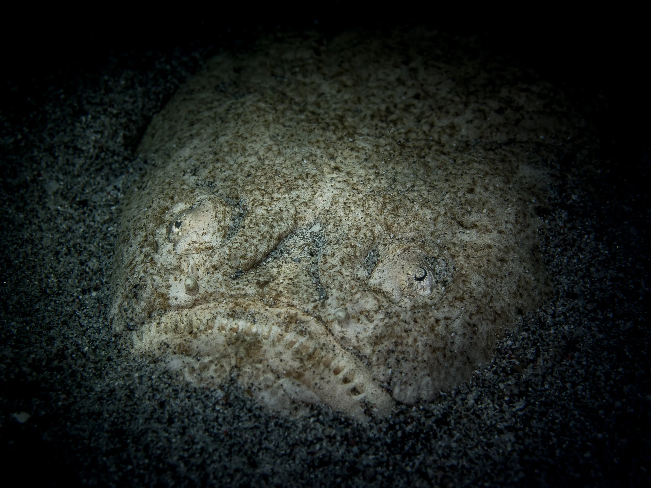 Bali_Komodo_2015-19.jpg