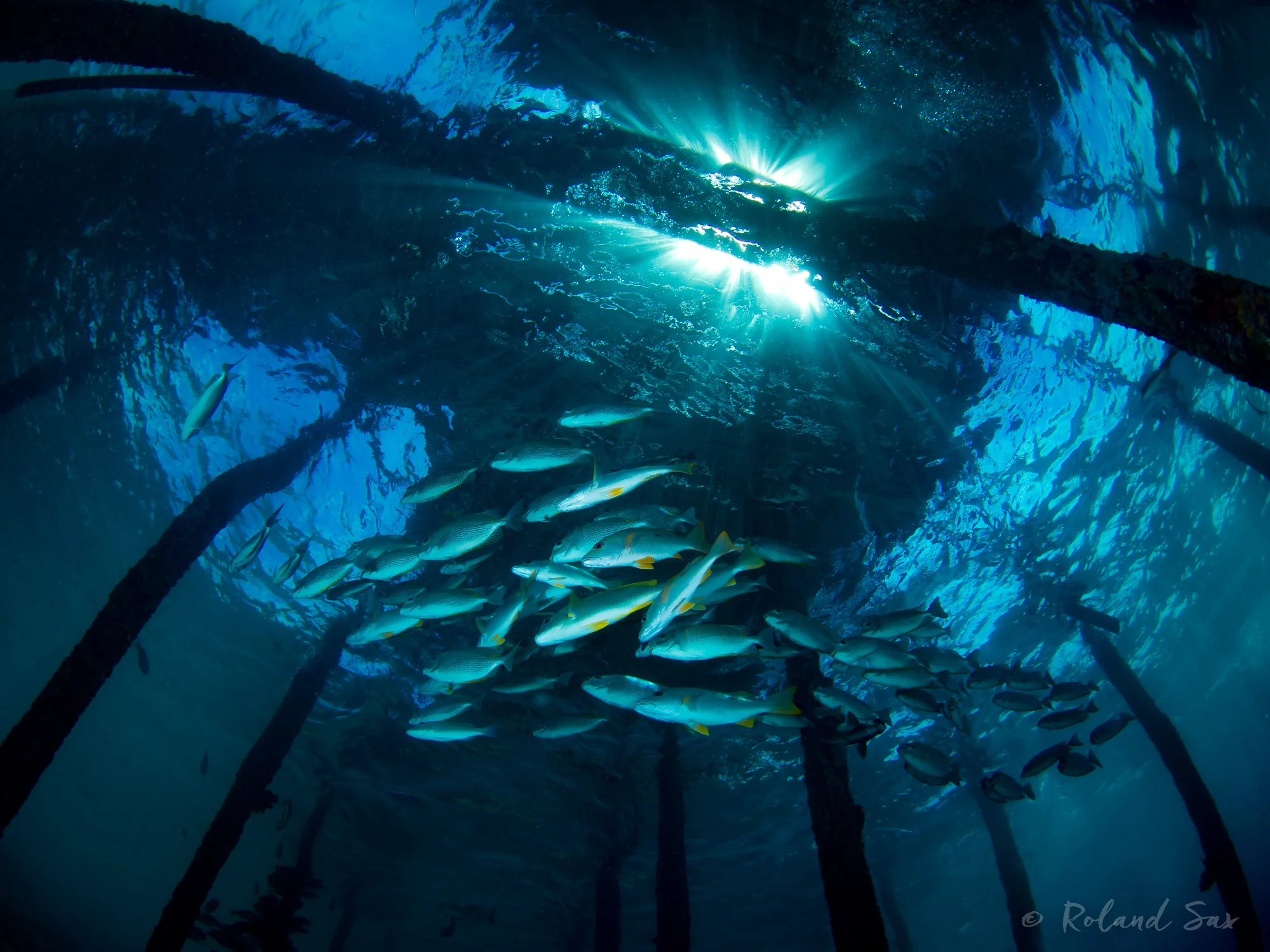 underthejetty_2000-.jpg