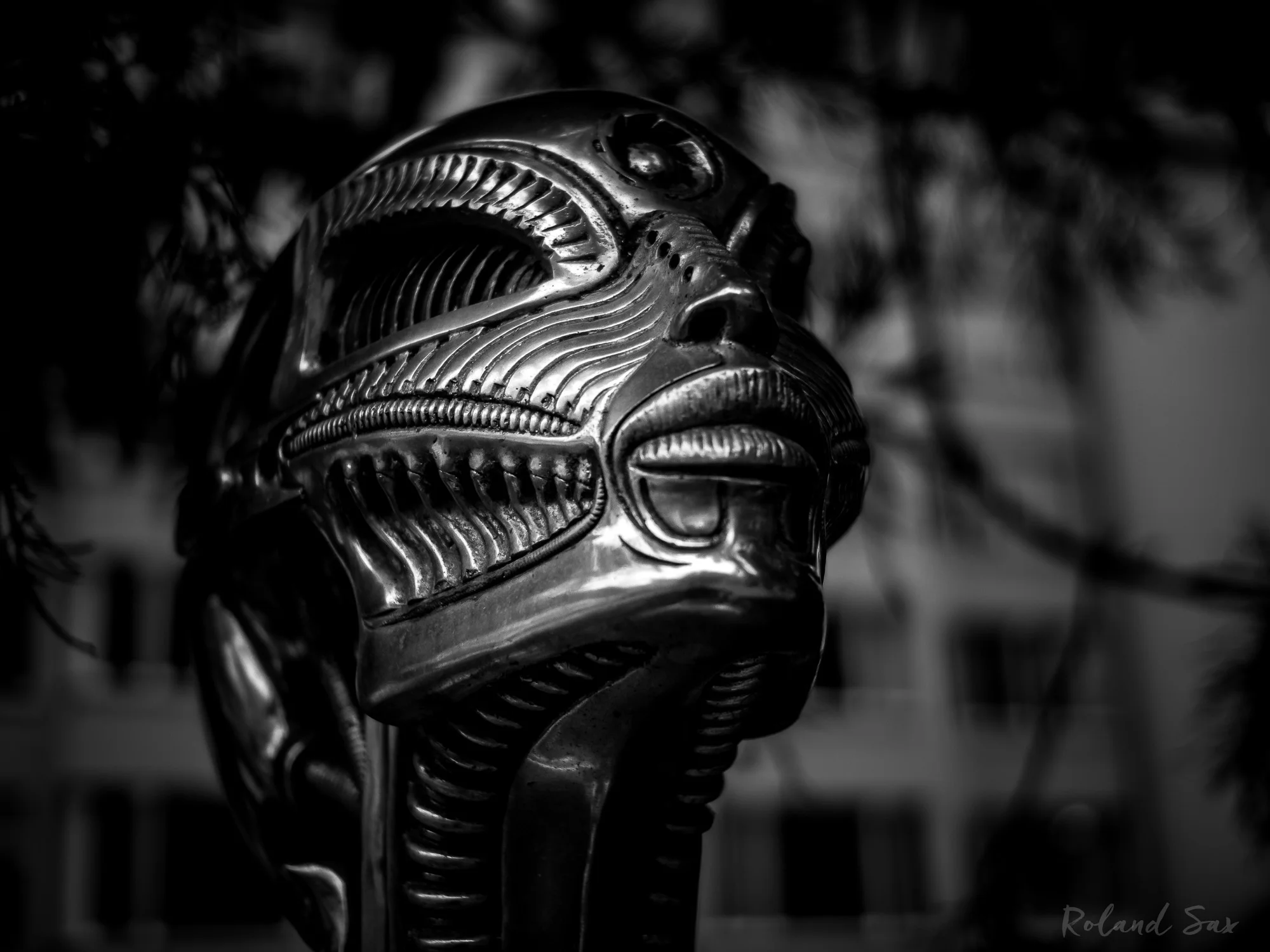 alien_20170915_2000-1.jpg