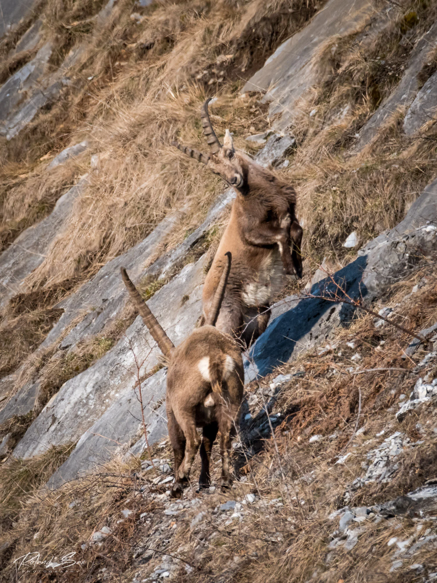 chursteinbücke20180324_2000_75-16.jpg