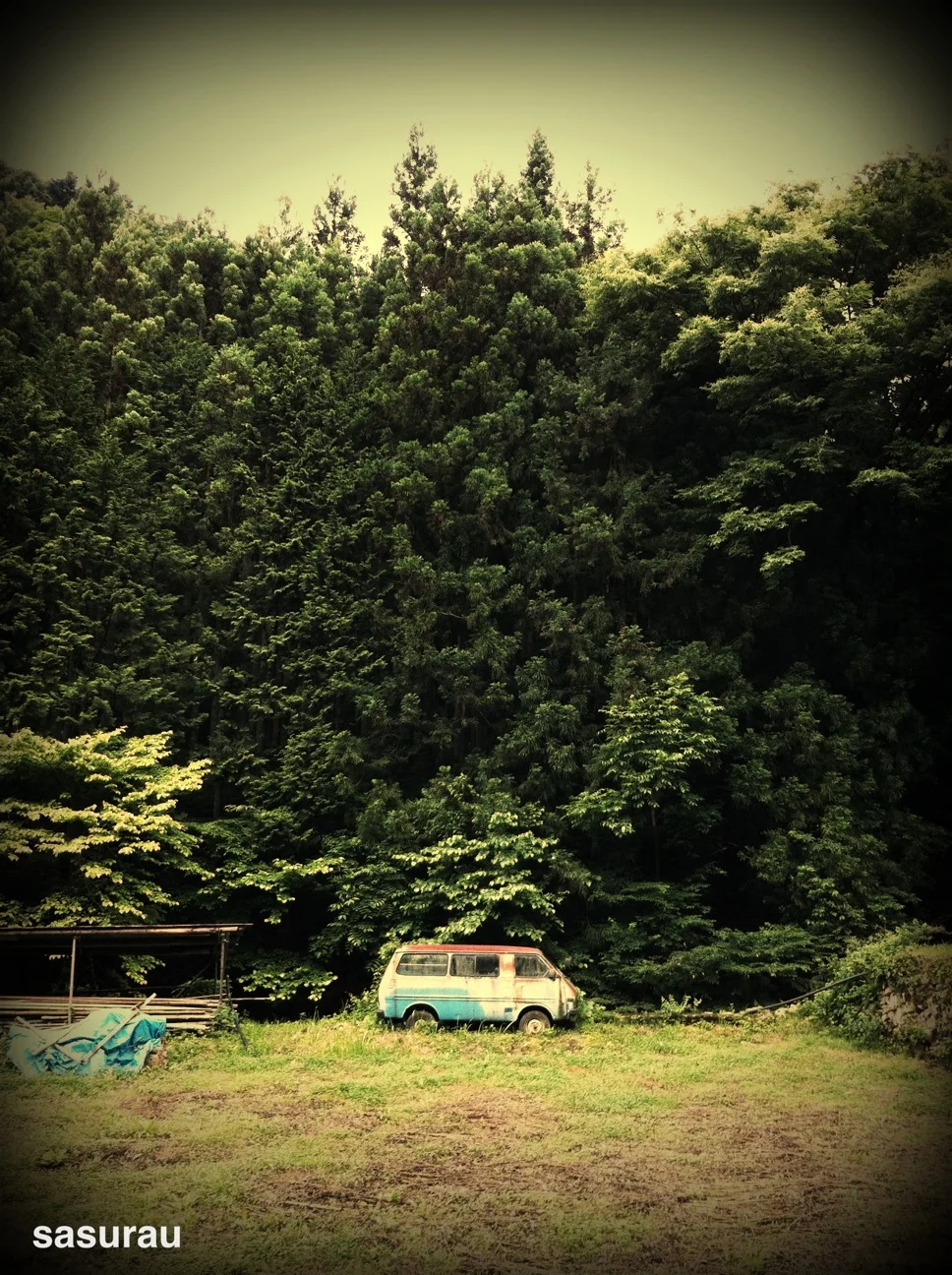 17057038-.jpeg