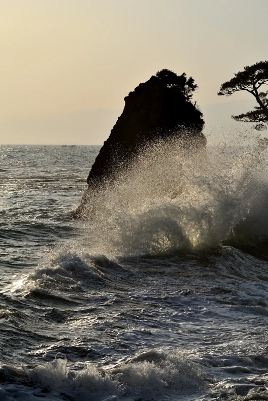 DSC_1749.jpg