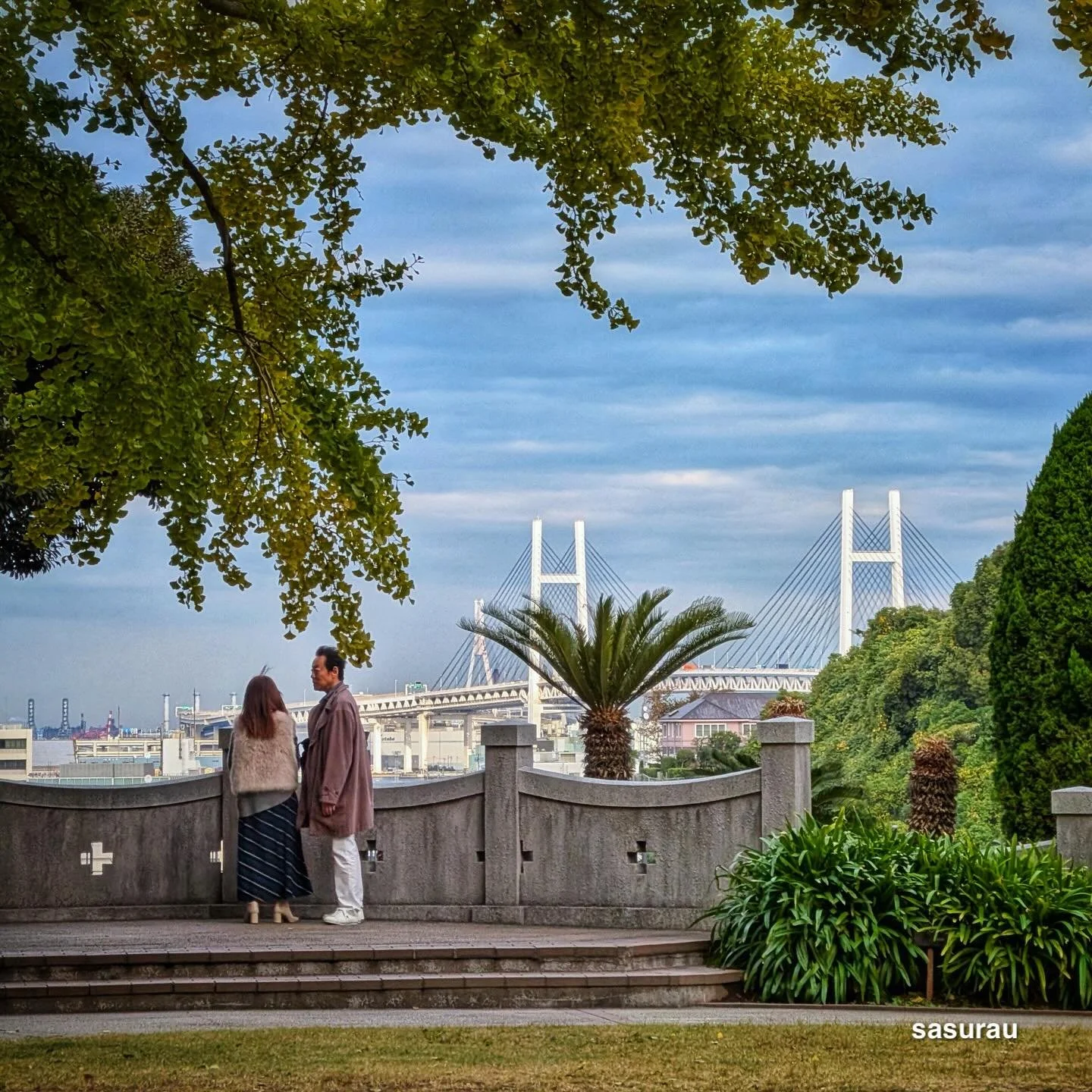 高台の光景。 #google #pixel10profold #teampixel
