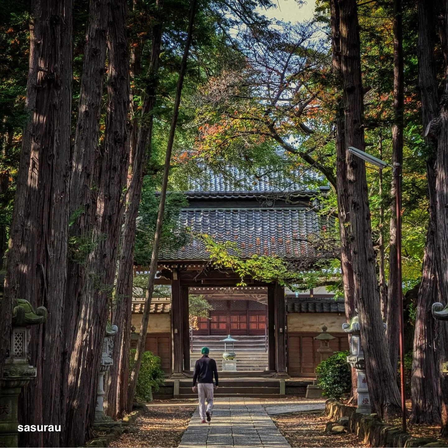 慶元寺参道。 #google #pixel10profold #teampixel