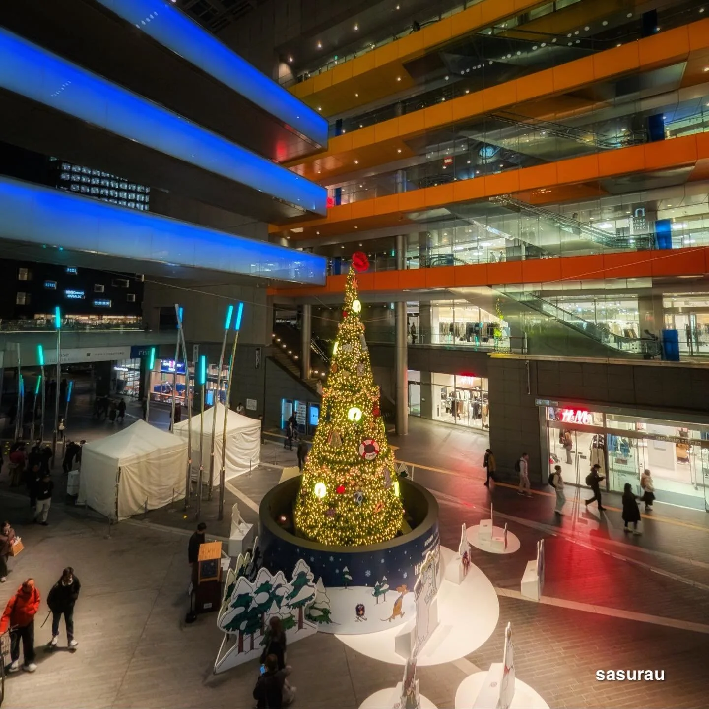 ツリーの季節。 #google #pixel10profold #teampixel